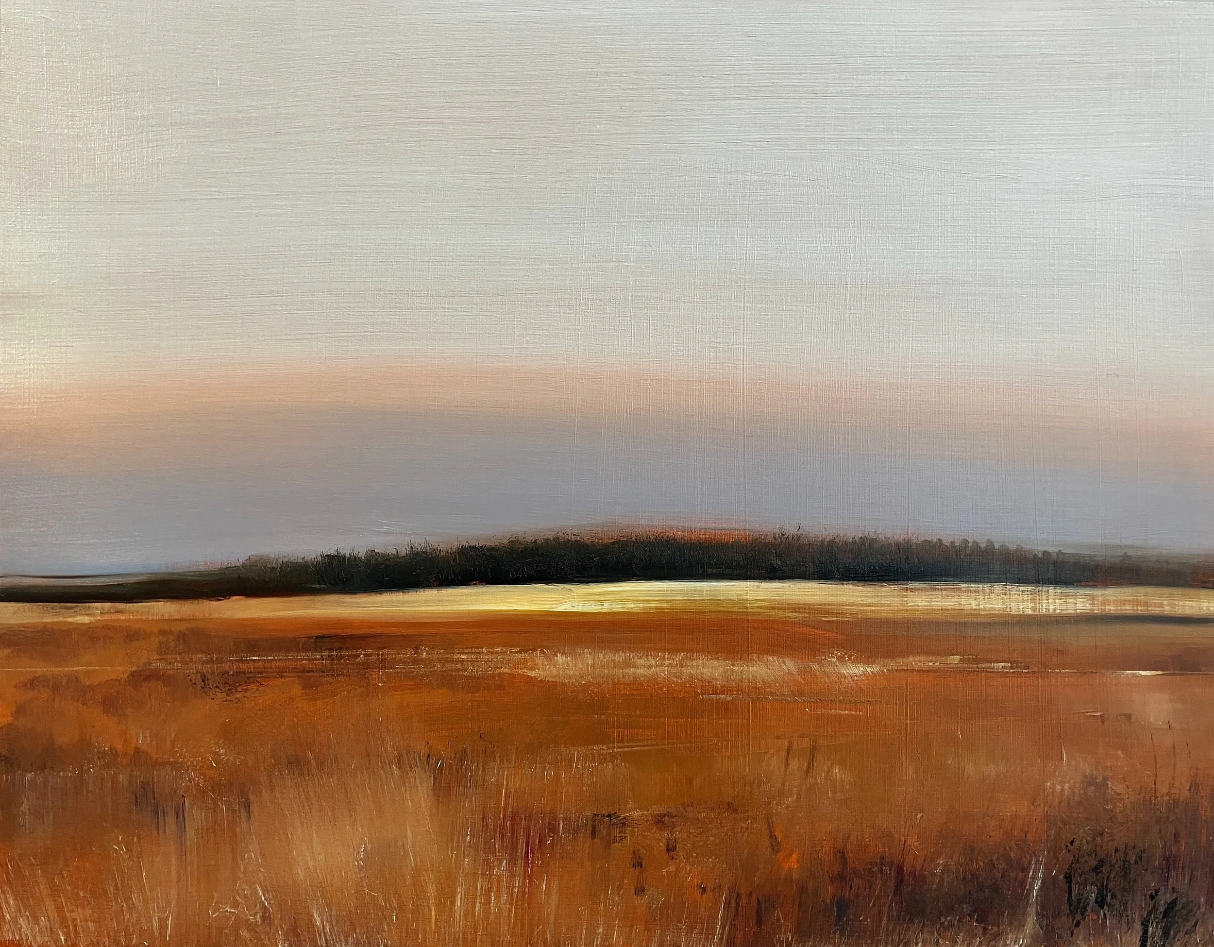 Meseta III. Oil on board. 14x18 inches. £300