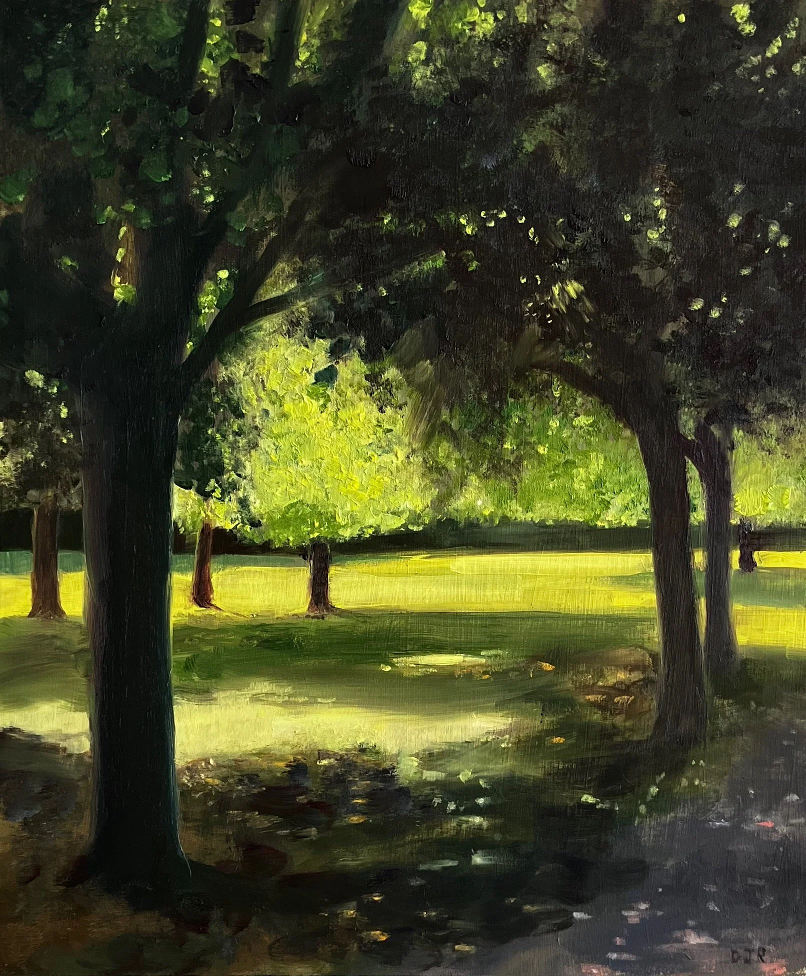 Komorebi. Oil on board. 35x25 cm. £250
