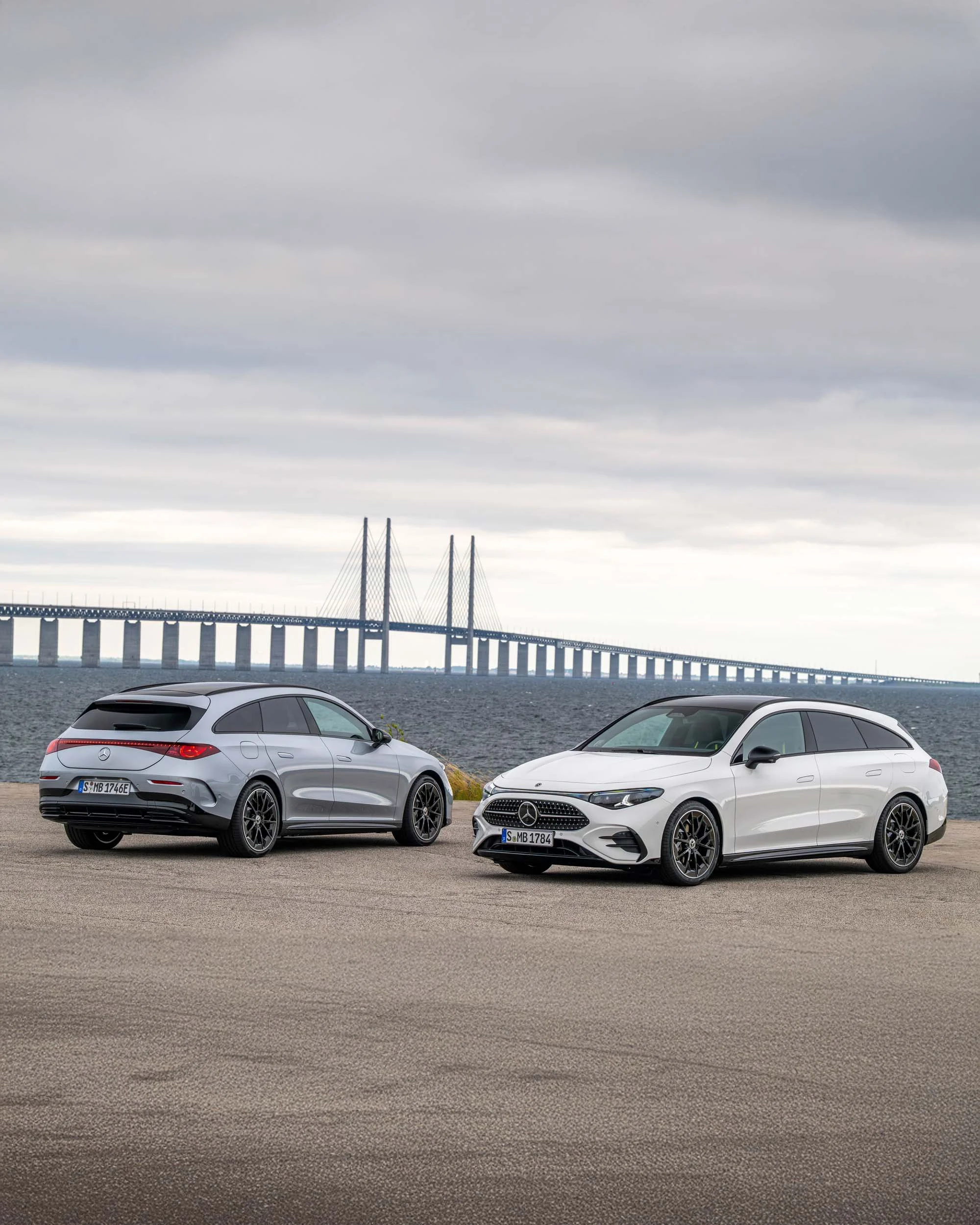 Dogs Travel in Style with the New Electric Mercedes CLA Shooting Brake