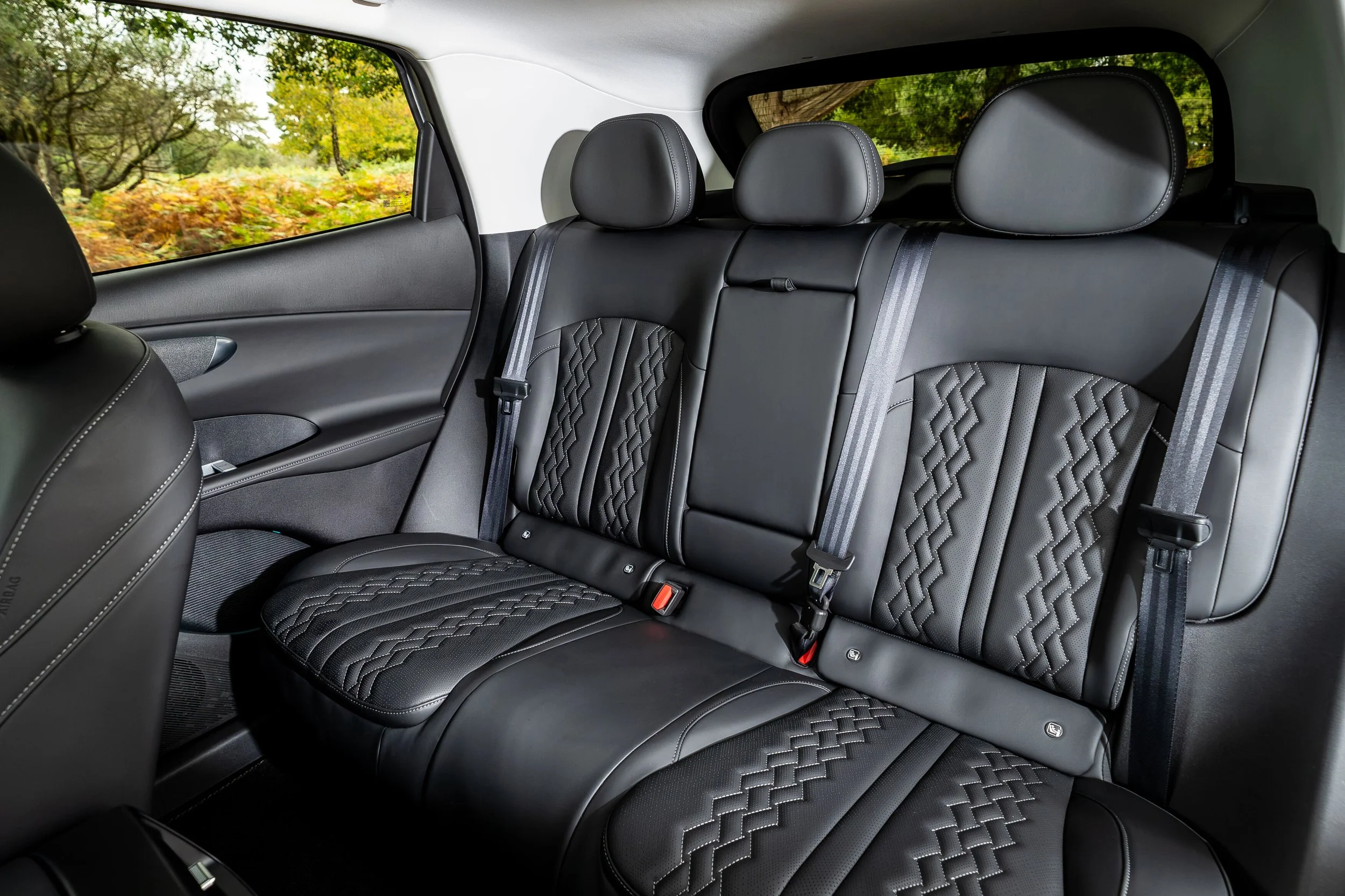 LEPAS L6 EV Interior - Rear.jpg