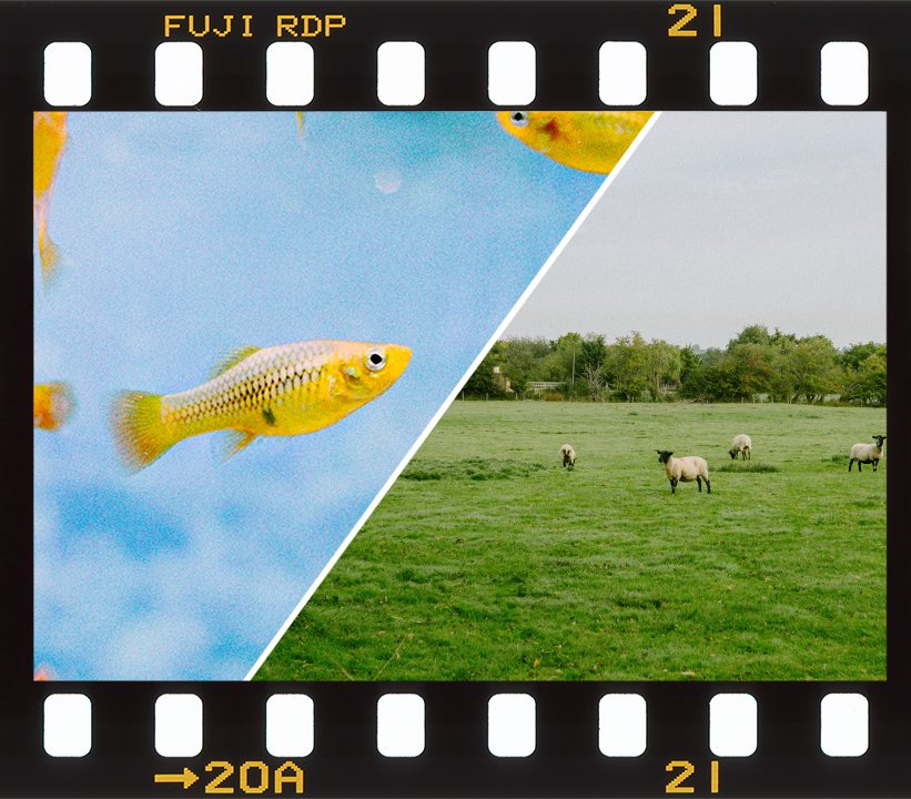 Color Film / Texture Bundle Pack