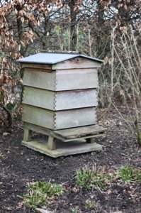 WBC hive, the prettiest hive
