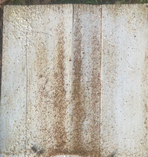 varroa board showing debris in position of the cluster