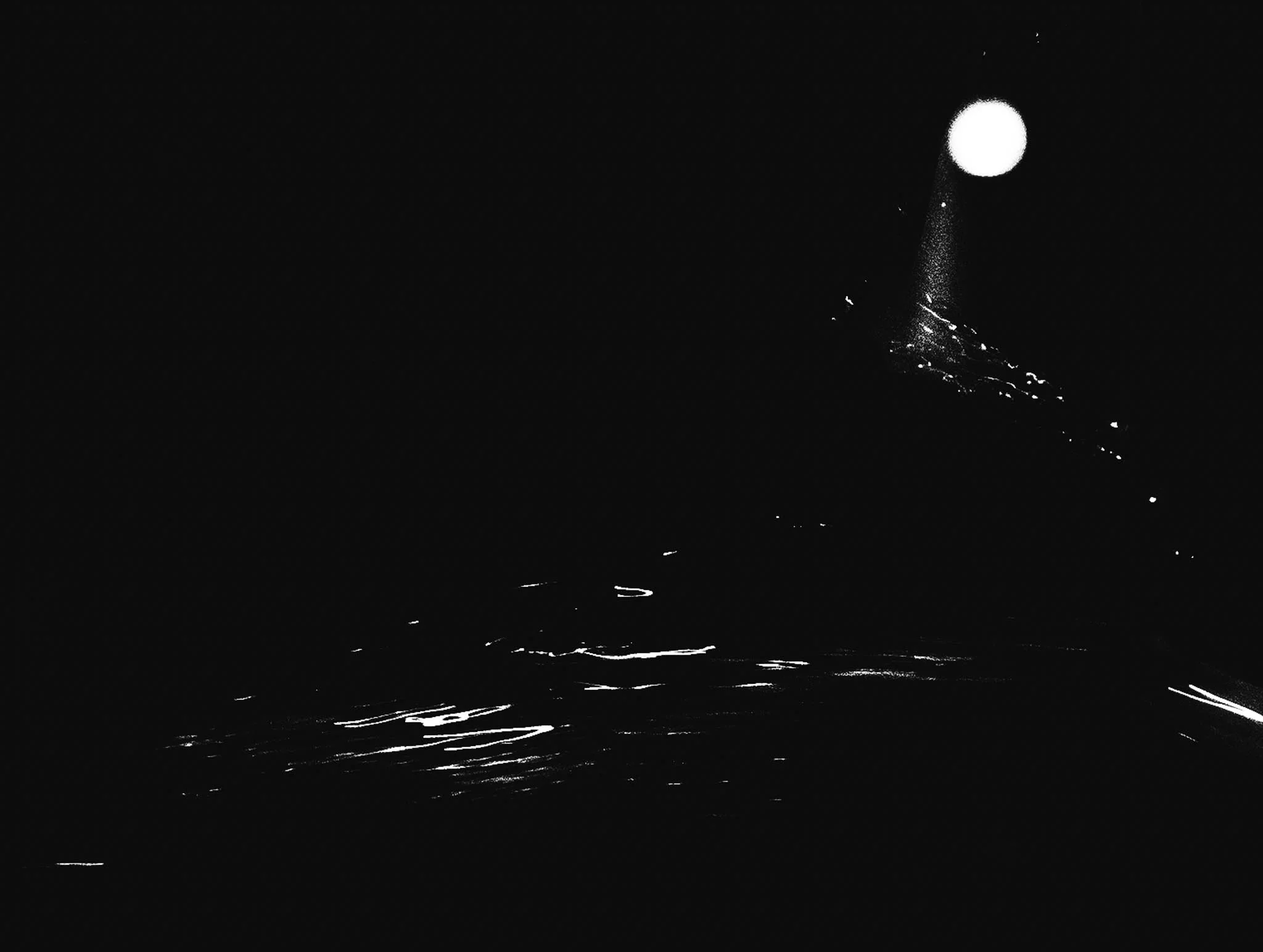 Moonlight.jpg