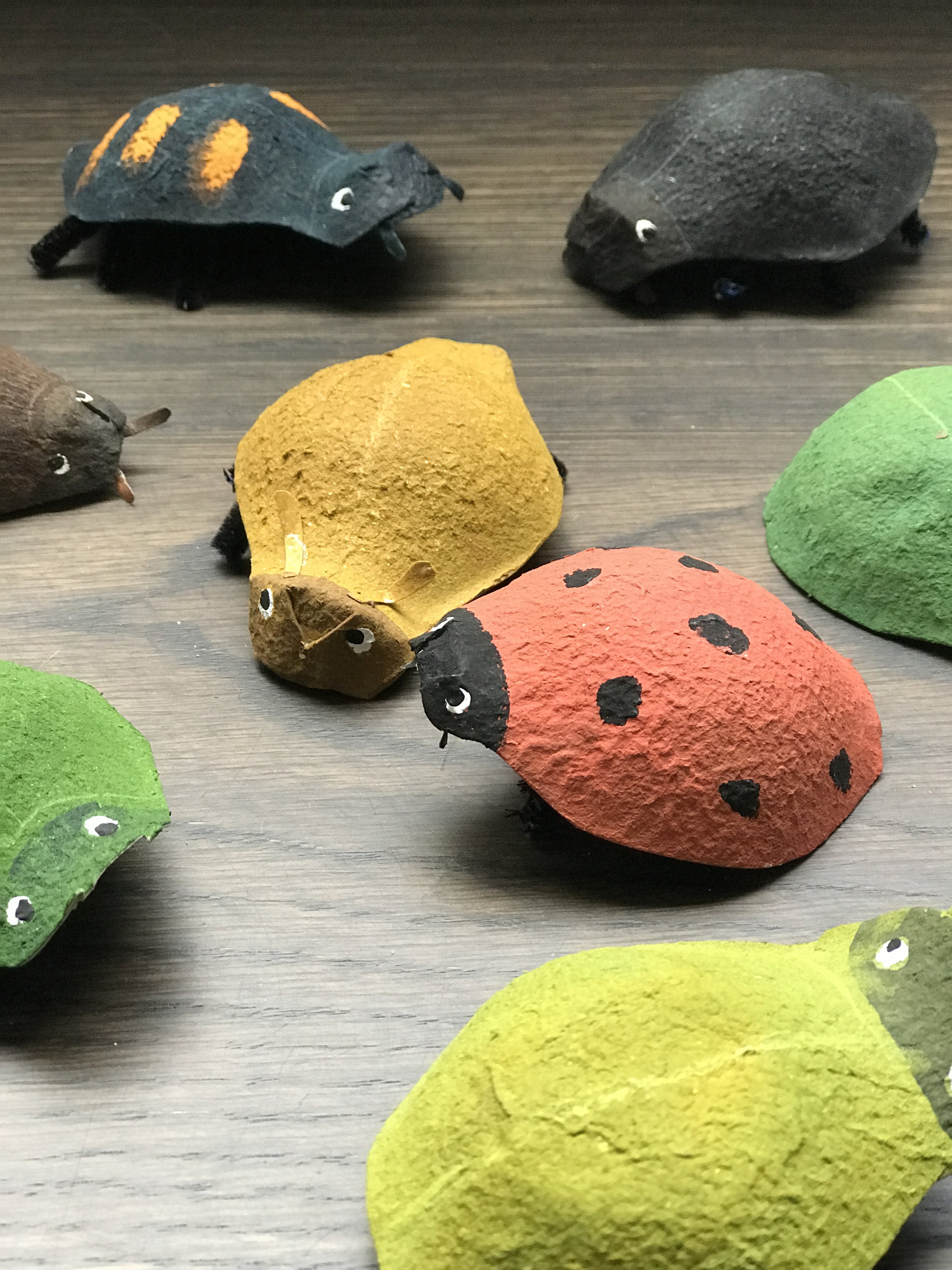 cartonbugdetail.jpeg