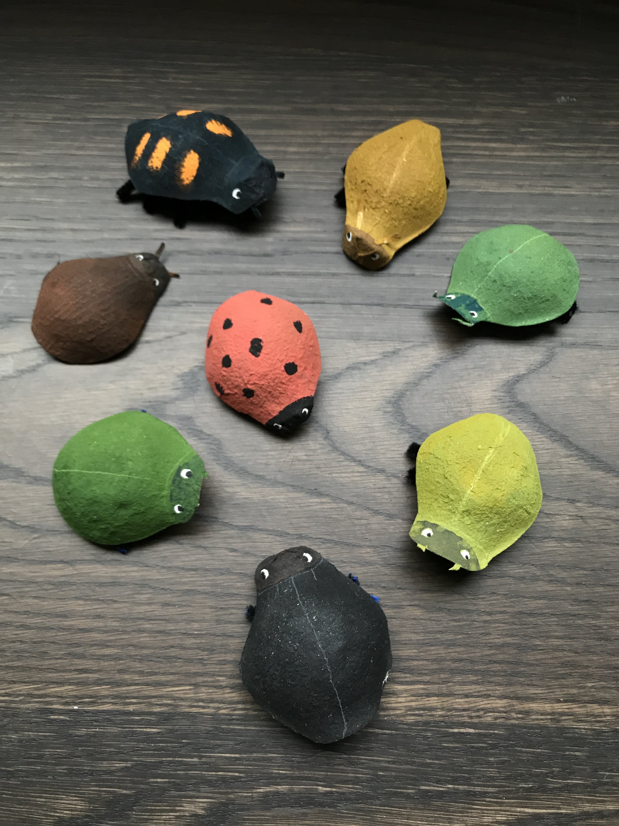 cartonbugs.jpeg