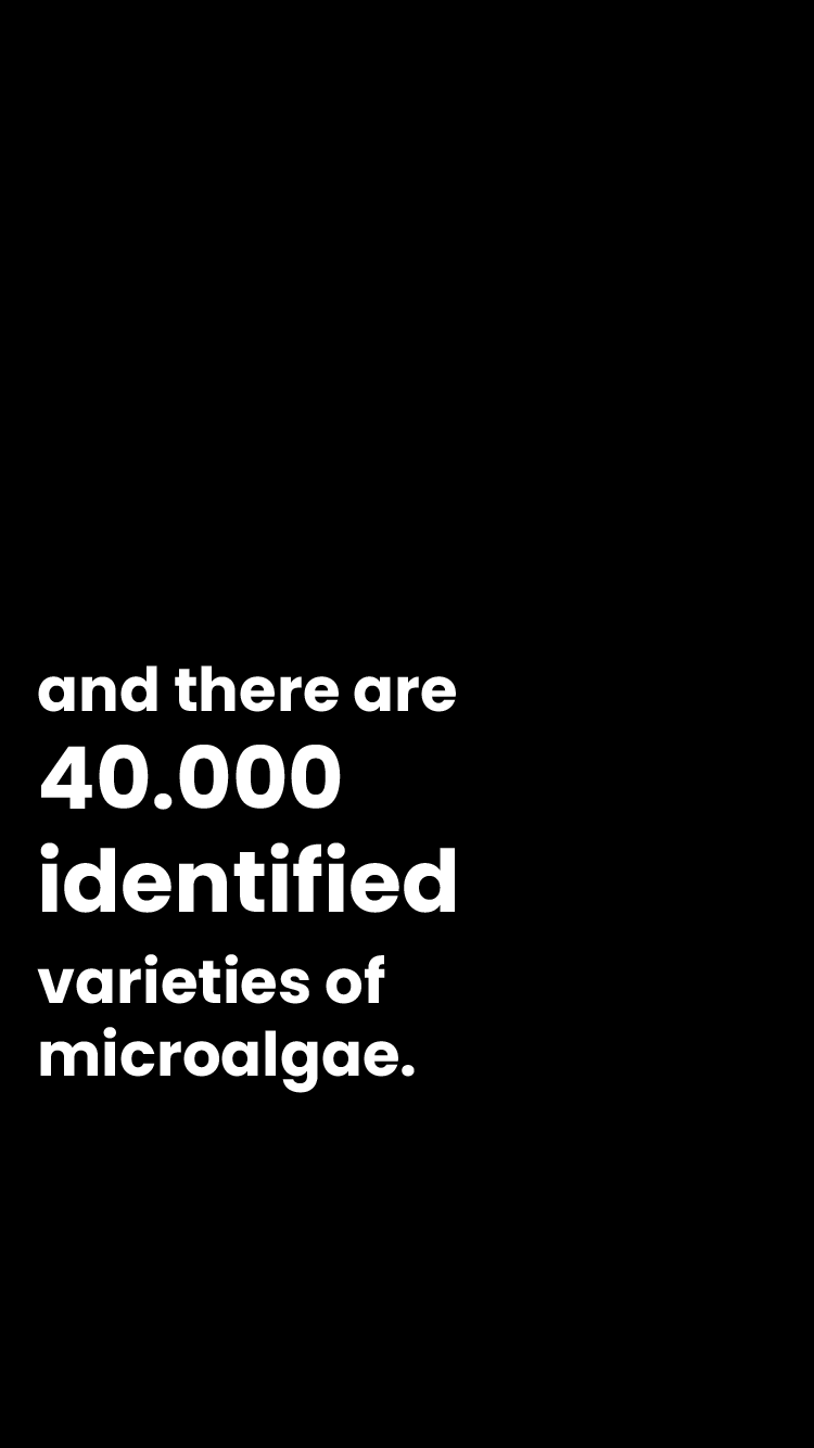Microalgae_Reel_Mesa de trabajo 6.png