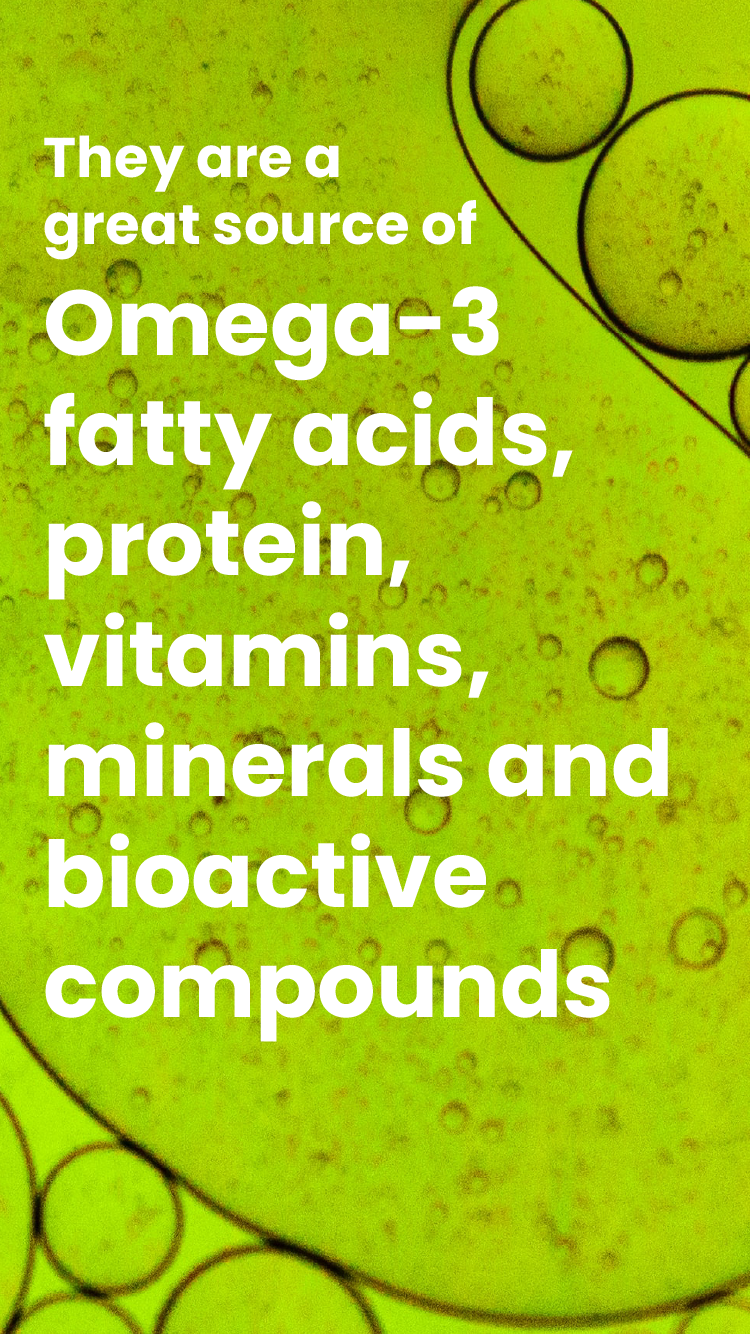 Microalgae_Reel_Mesa de trabajo 8.png