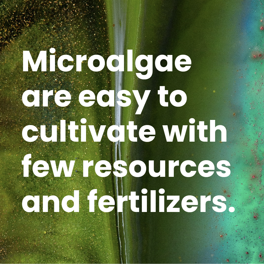 Microalgae_Mesa de trabajo 9.png