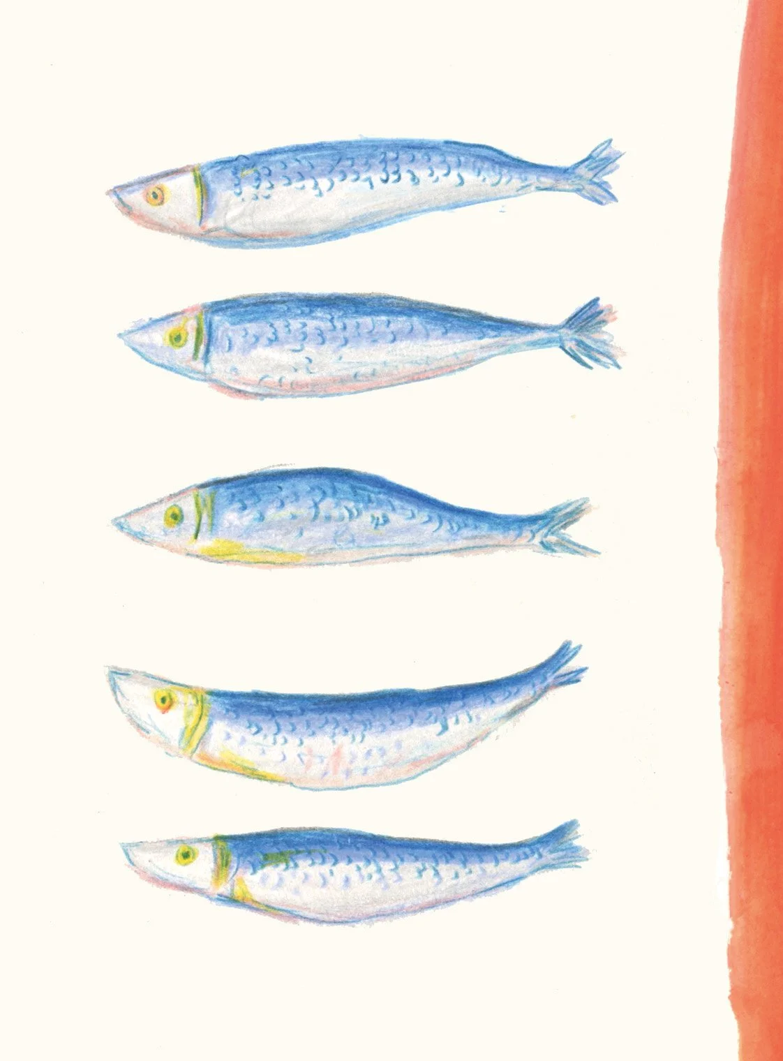 Sardines 01.jpg