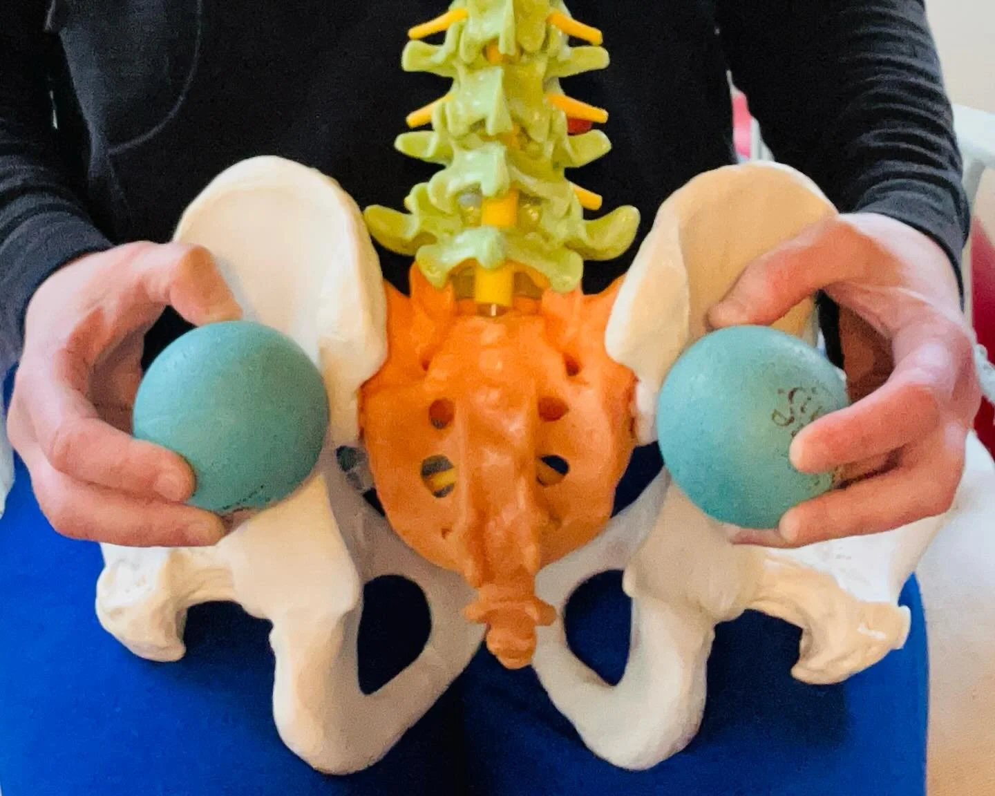 SI Joint alert! The Sacroiliac joints are where each pelvic half comes together with your sacrum, the large bone above your tailbone (the sacrum is actually 5 fused vertebrae). These joints have a very small degree of movement, BUT&hellip; if either 