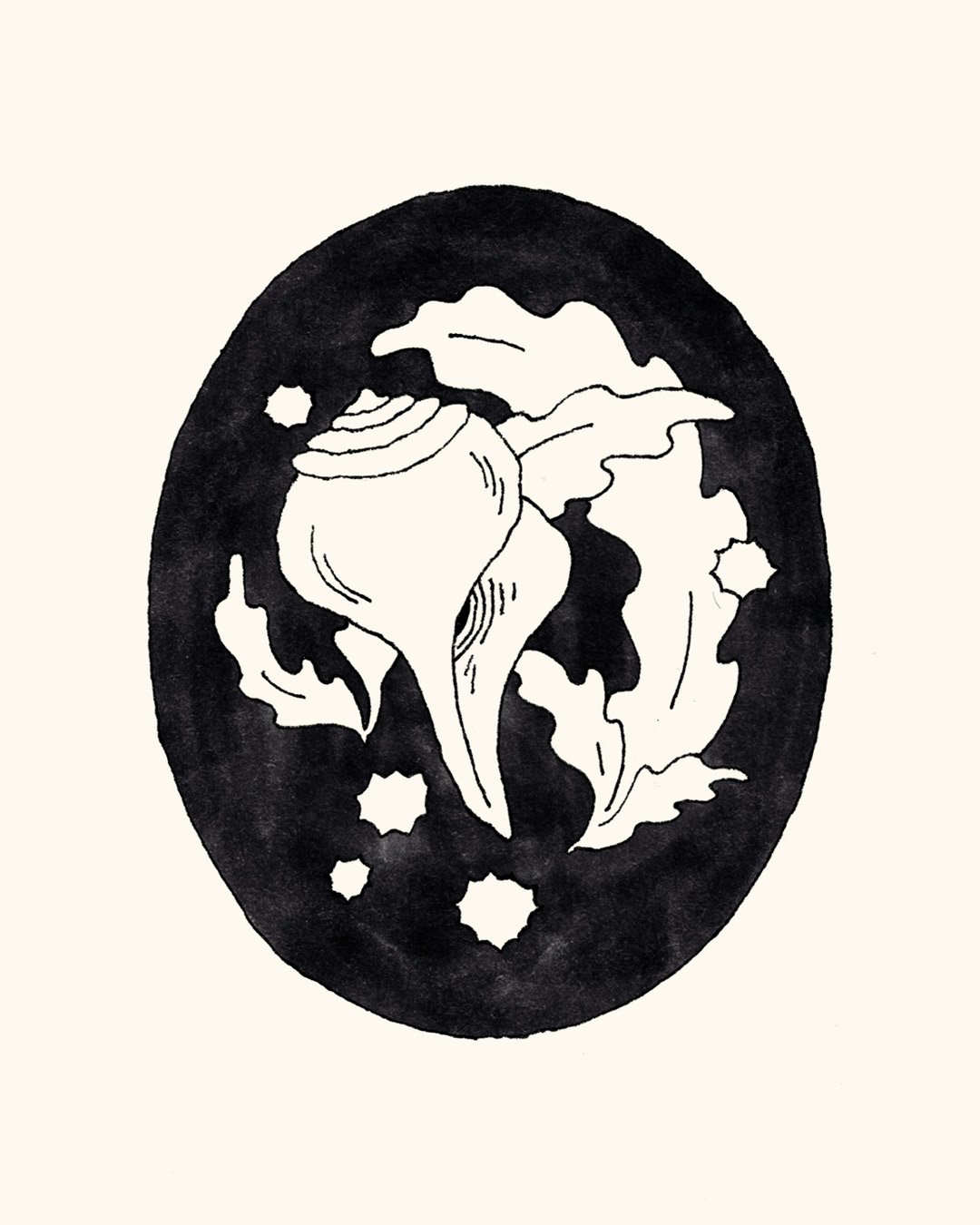 coquille.jpg