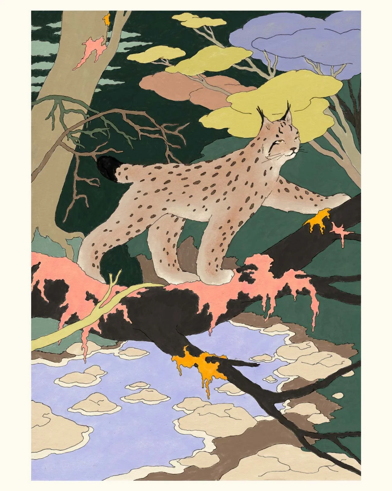 lynx.jpg