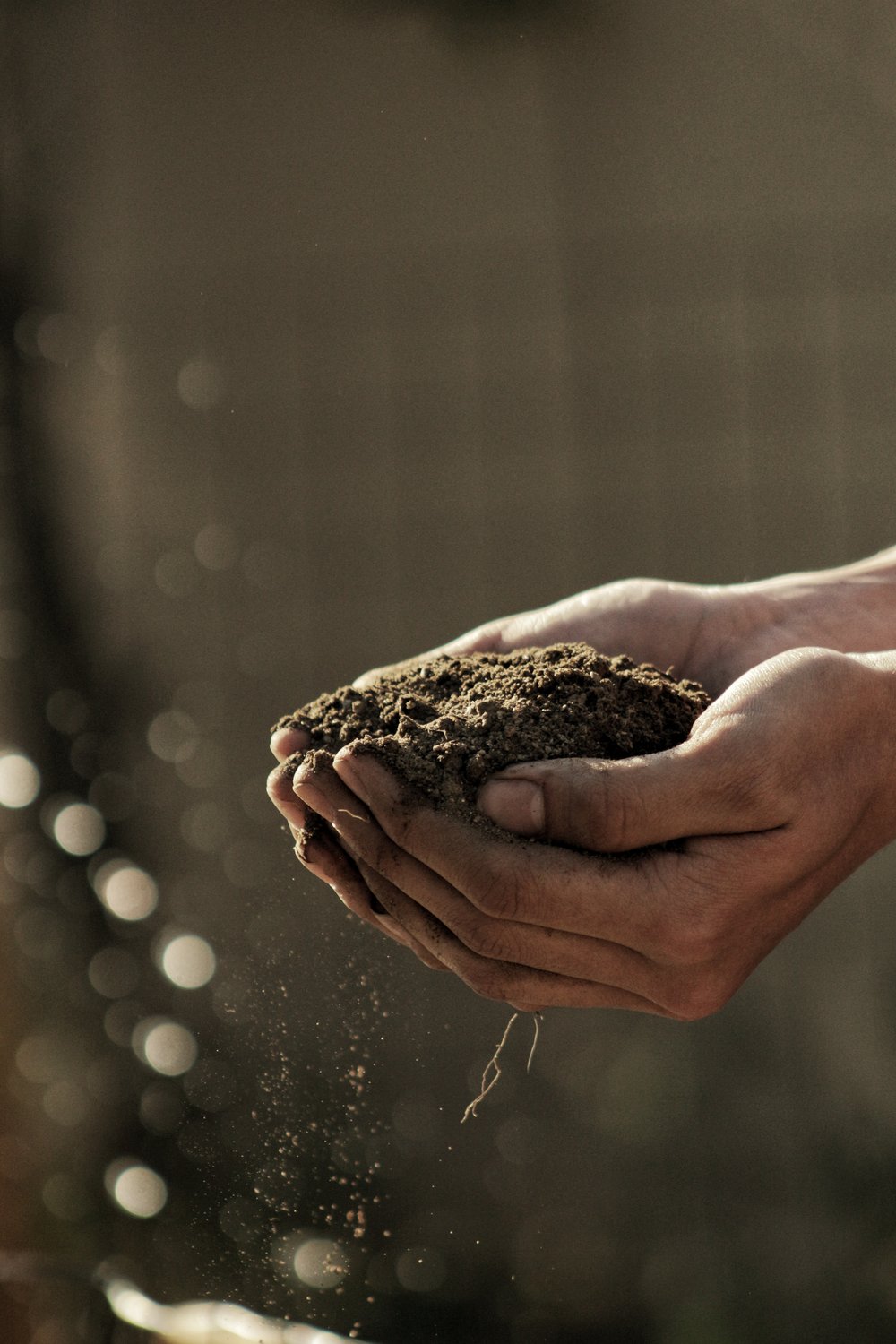 Create Drought Resistant Soil