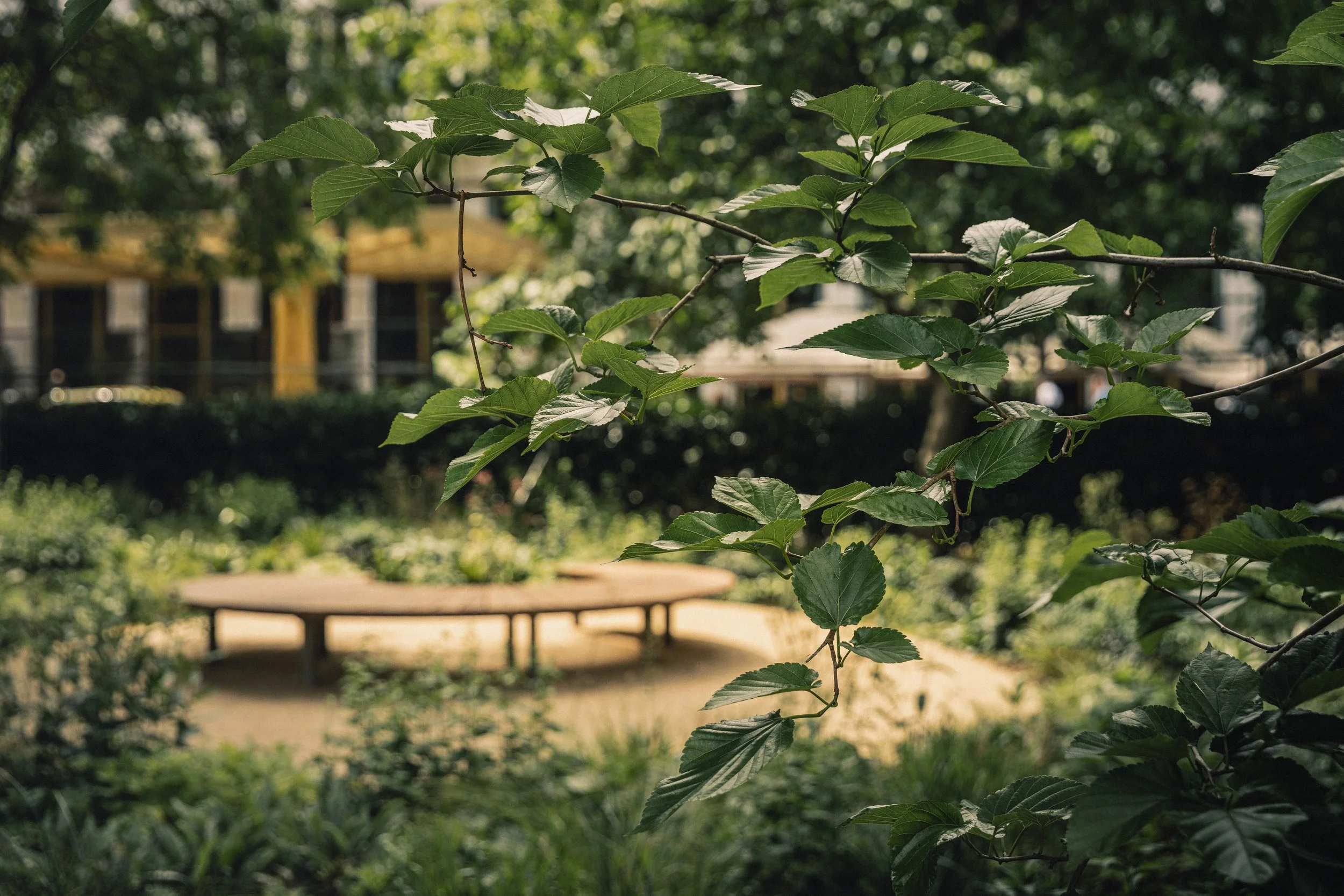 2026-06-16-  Grosvenor Square-FULLRES-1-137.jpg