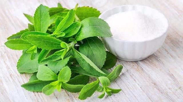 Does Stevia cause infertility?