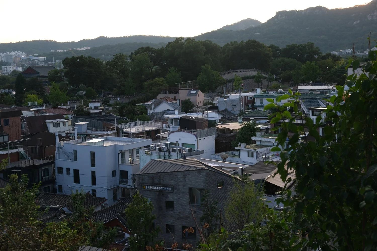 기초생활수급자 생계급여