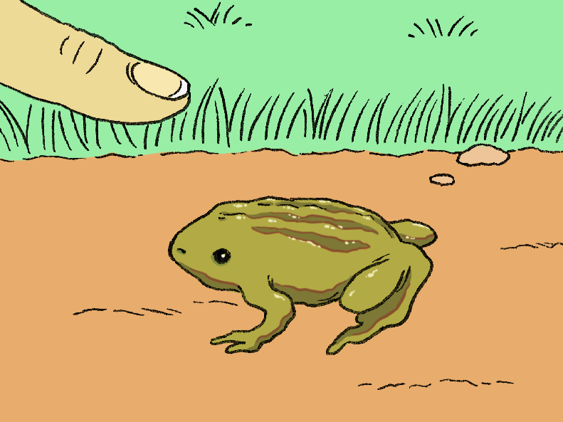 Comic: Baby frogs