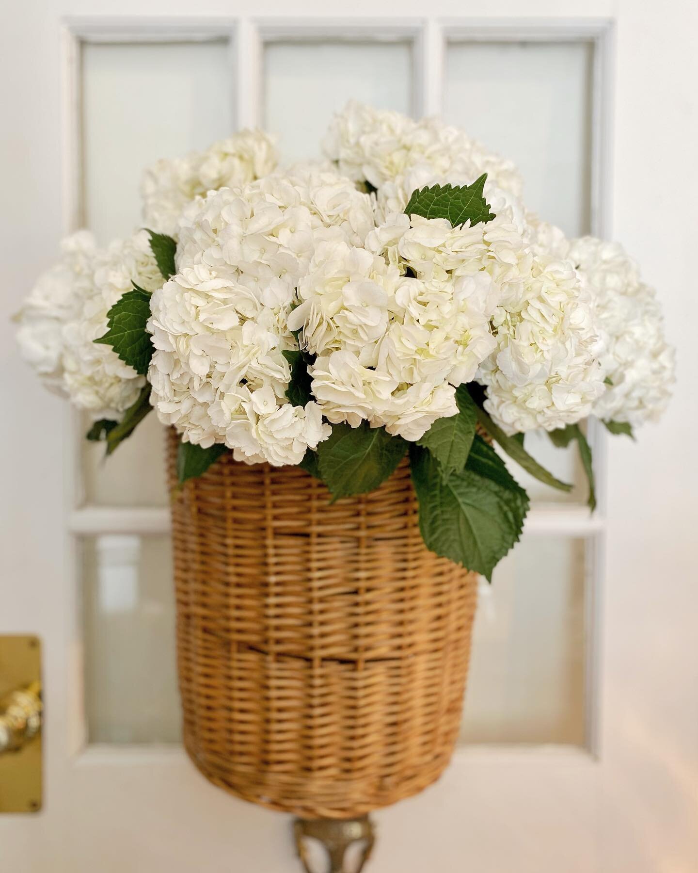 Happy Friday everyone!! Stop by and grab something pretty for your weekend!! 

Open 10-4

#florist #virginiabeach #lovewhatyoudo #shoplocal #weekend #happyfriday #hydrangeas