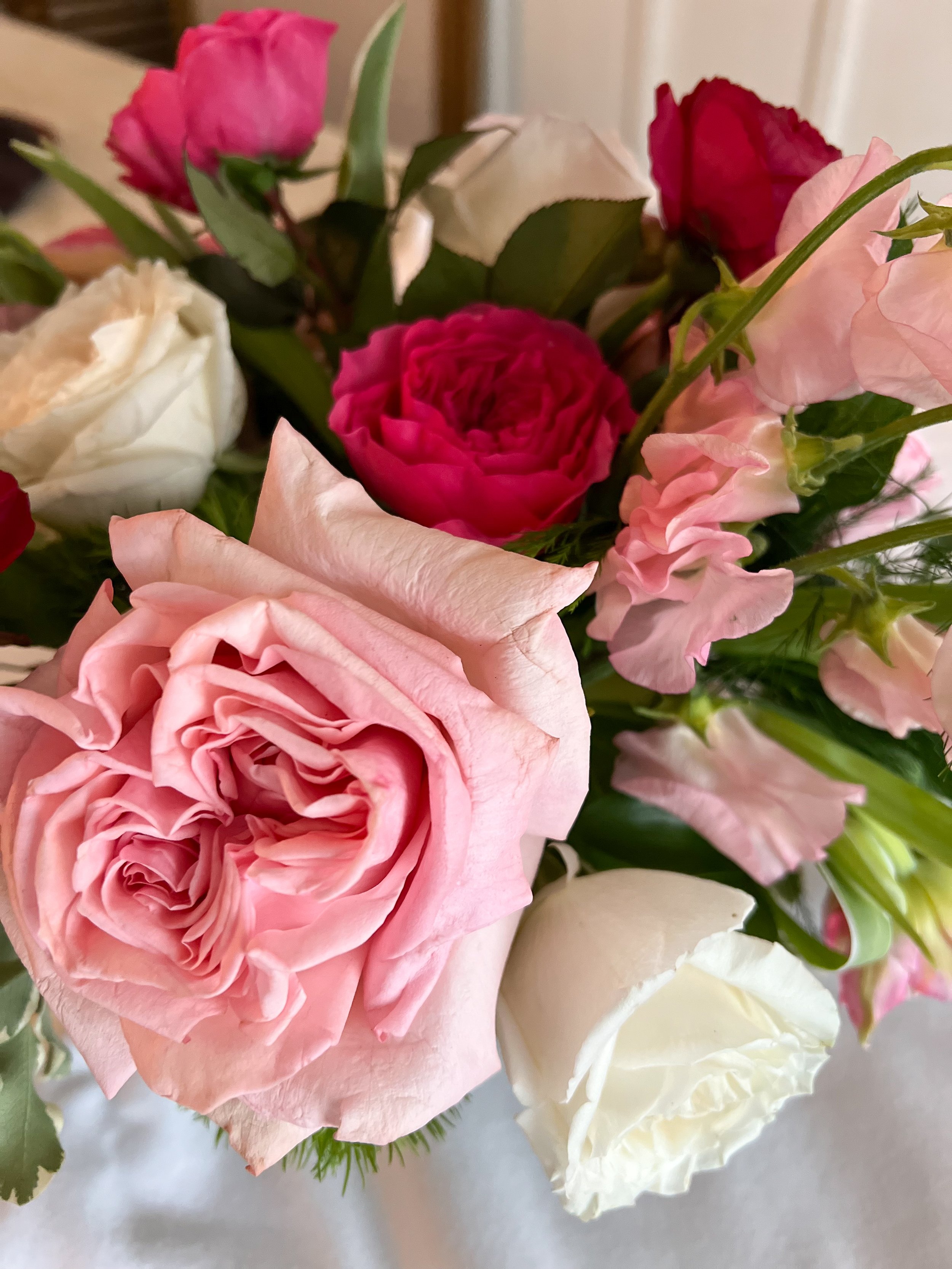 Roses and Rosé Workshops