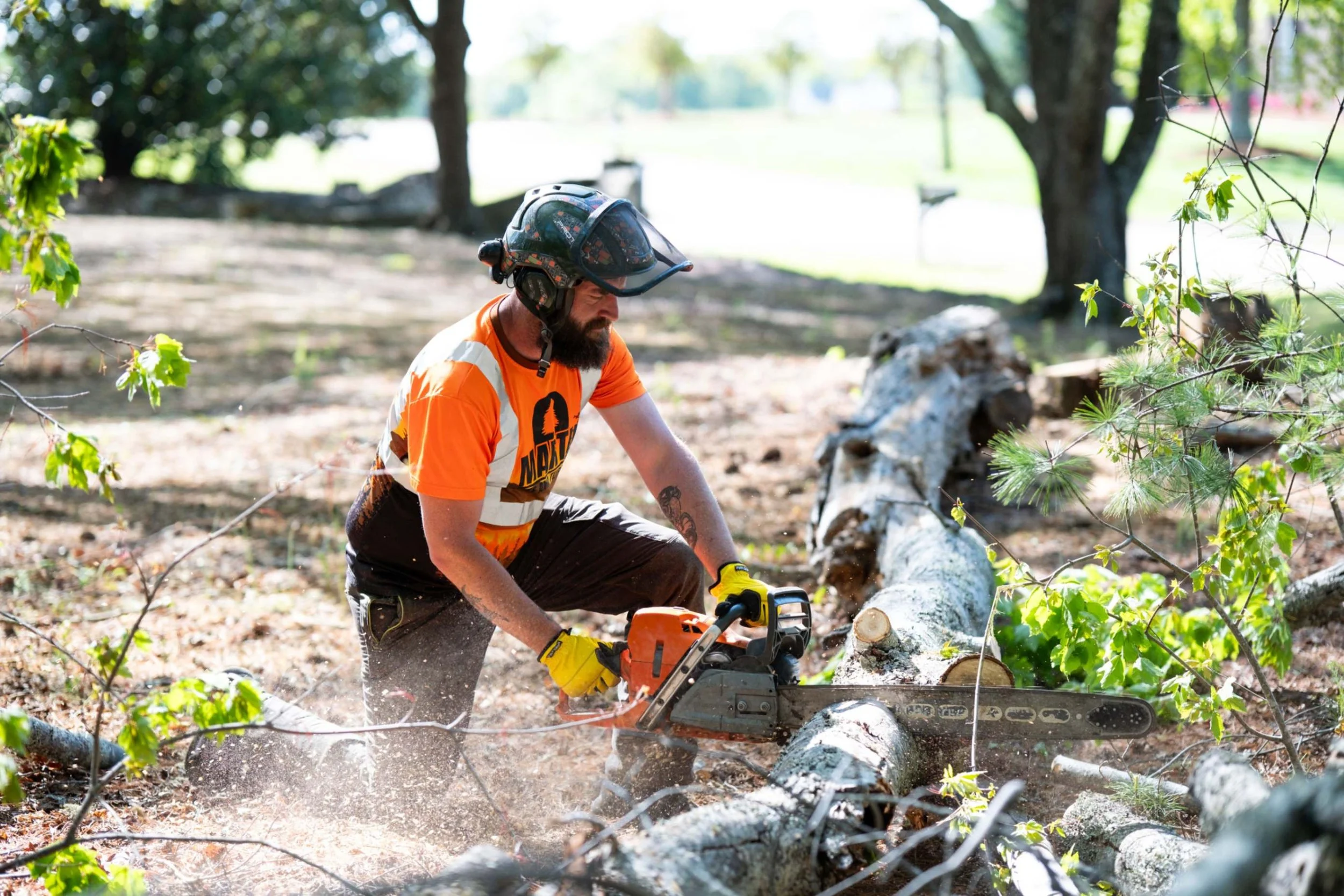 Why Your Tree Care Company is Losing Quotes (And How Action Photography Wins Them Back)