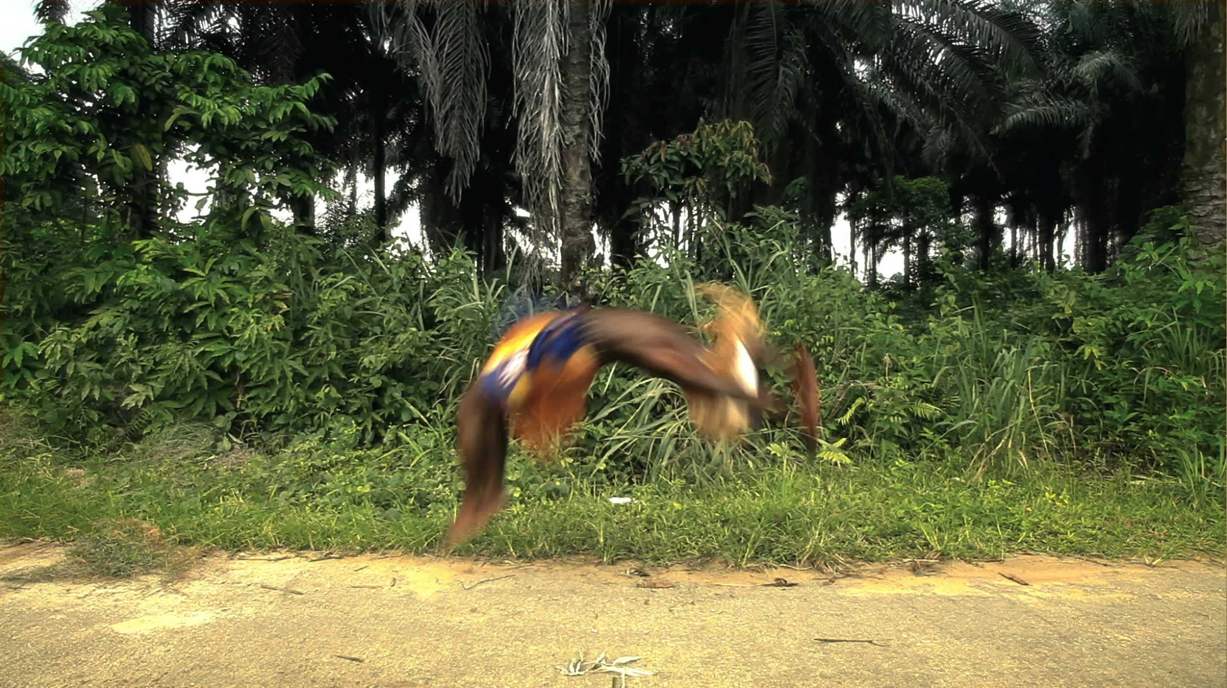 Karikpo Pipeline Still 2 300.jpg