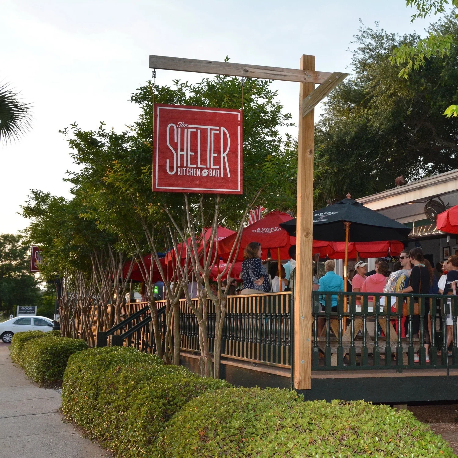 Shelter.webp