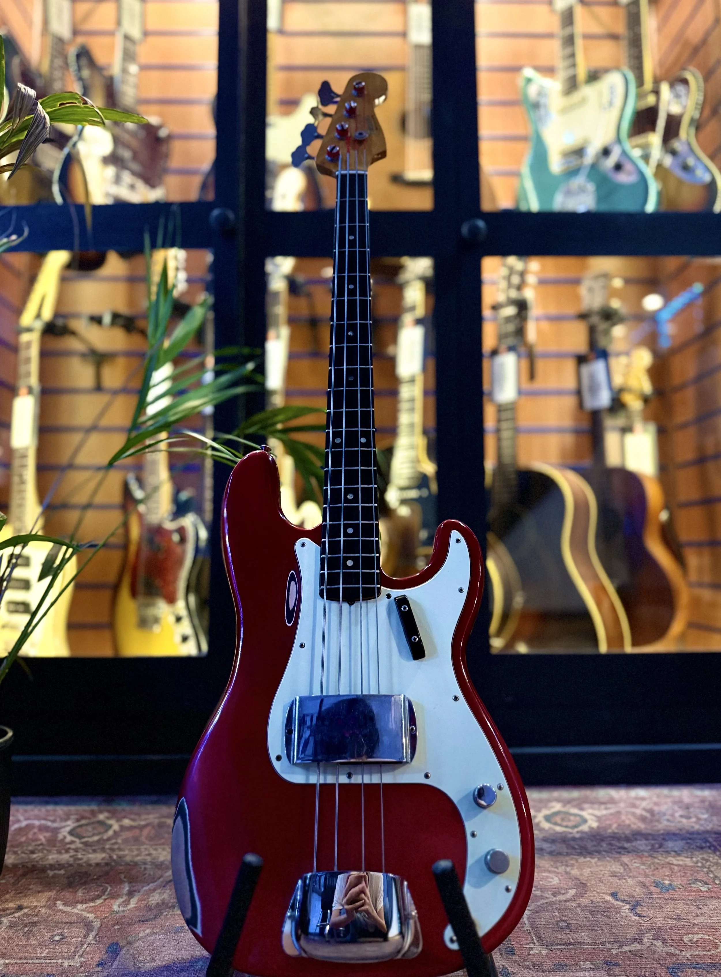 precision bass 66.jpg