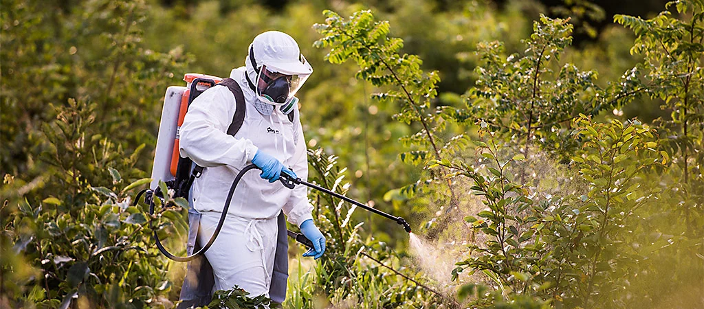 Los Insecticidas Agrícolas | Una Guía Completa | Sigma Agro 2024 — sigma360