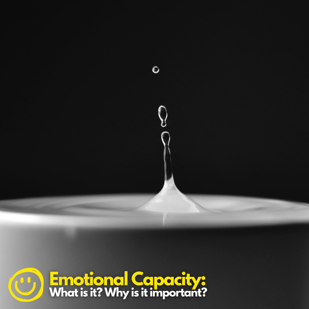 Emotional Capacity: What is it? Why is it Important?