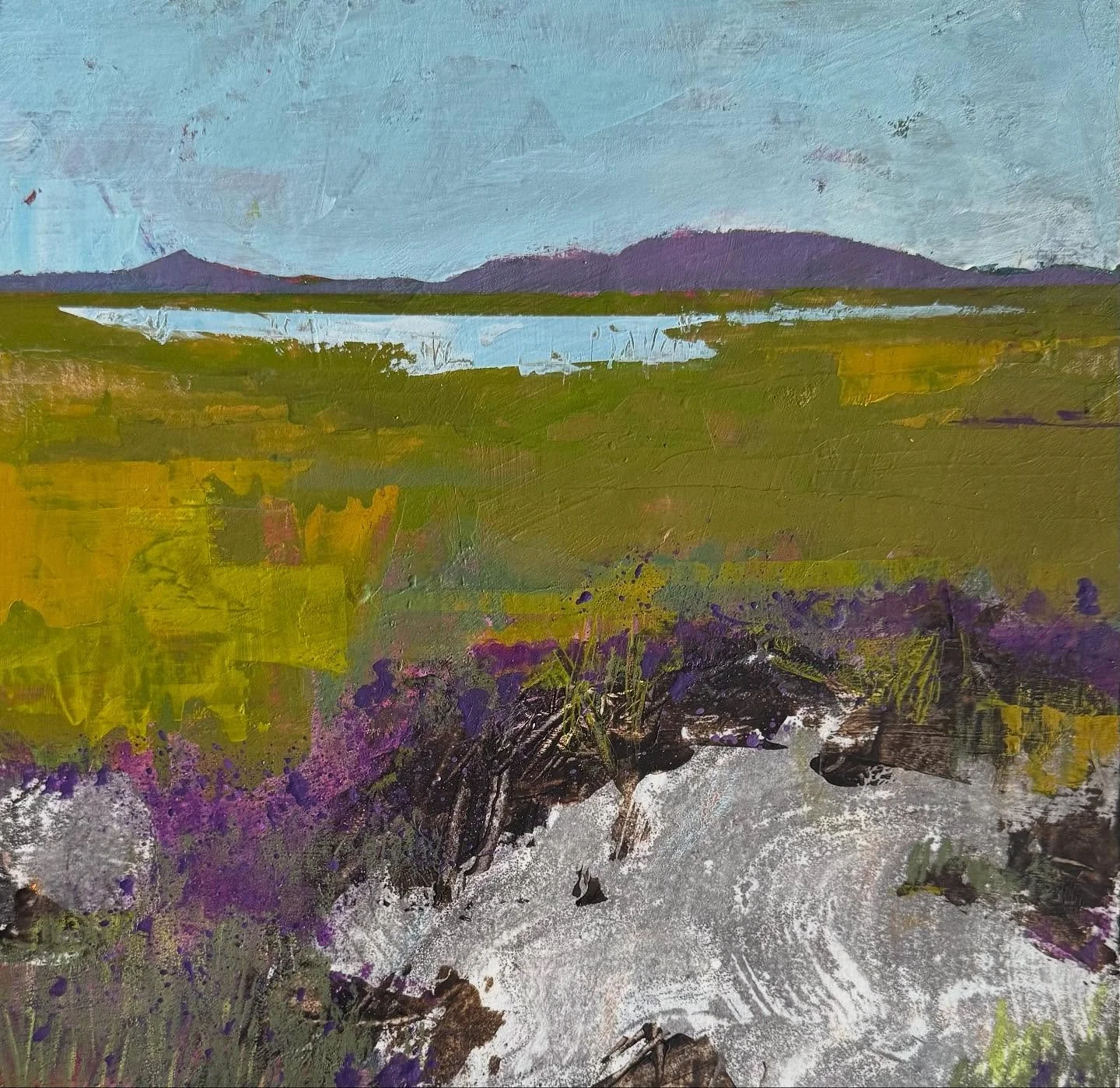 A recent week in Connemara, West of Ireland, was so inspiring. Walking the bog road towards Boolagare, the colours of grass and rock and heathers sang out. 
#Ballyconneely #connemara #westofireland #bog #irishlandscape