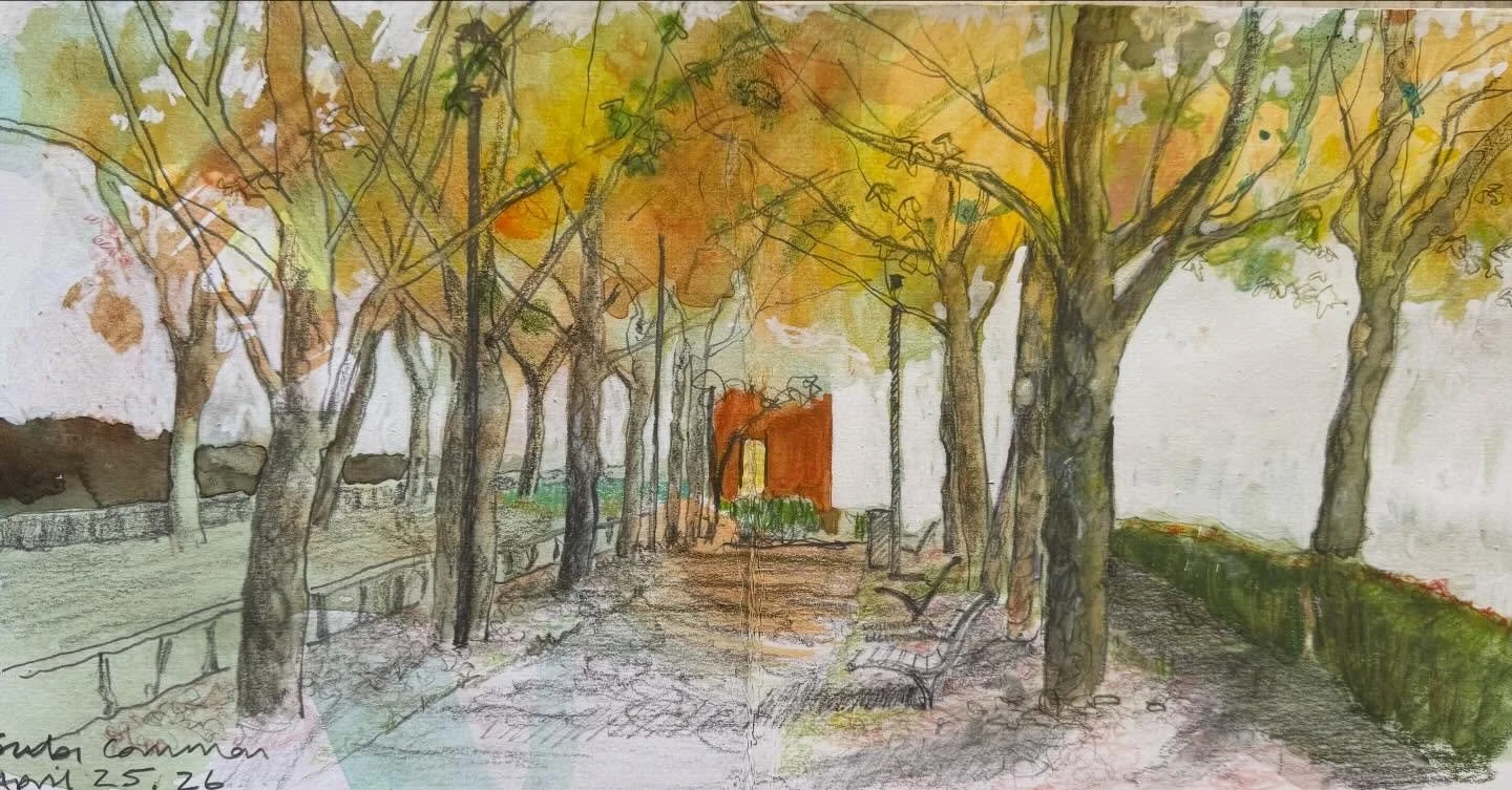 It&rsquo;s autumn here so leaves are falling fast but the days are still warm. Some sketches of parkland and bush. Heading soon up the coast to Geraldton, Exmouth &amp; Karijini where the colours will be intense and fiery! #westernaustralia #sketches
