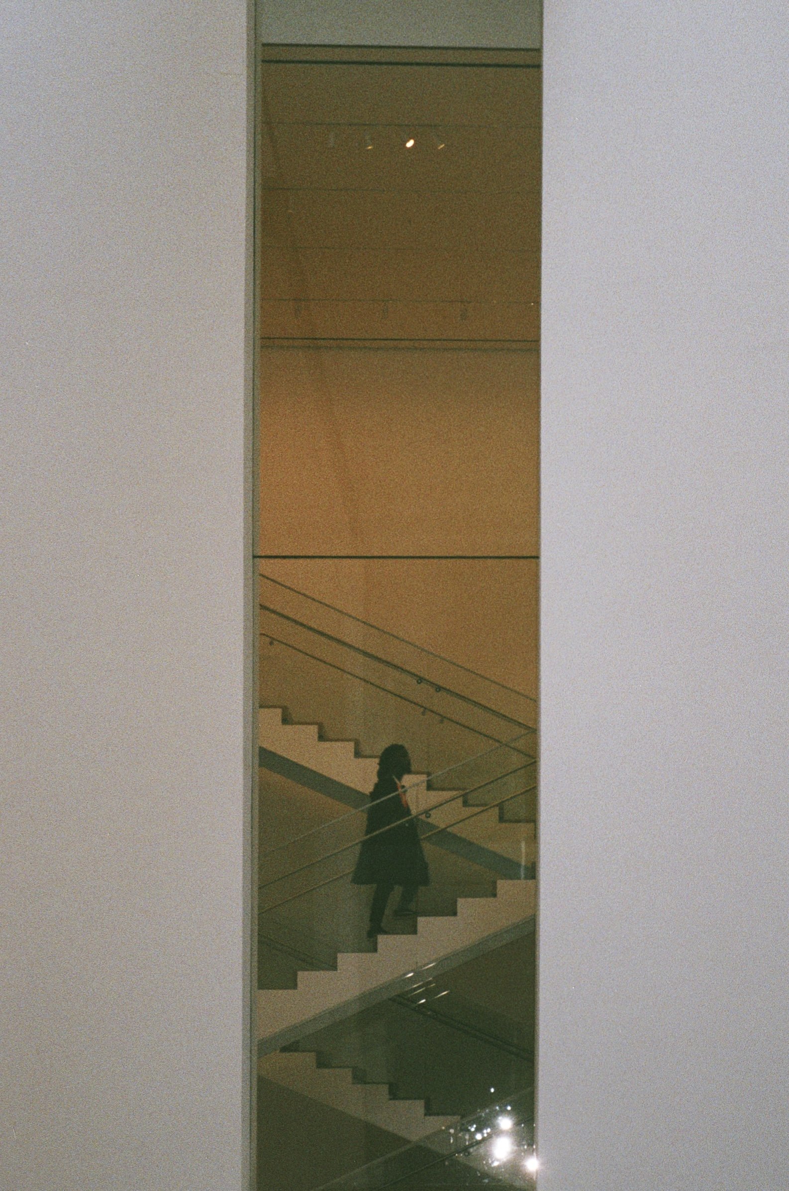 stranger in MoMA, new york, 2019