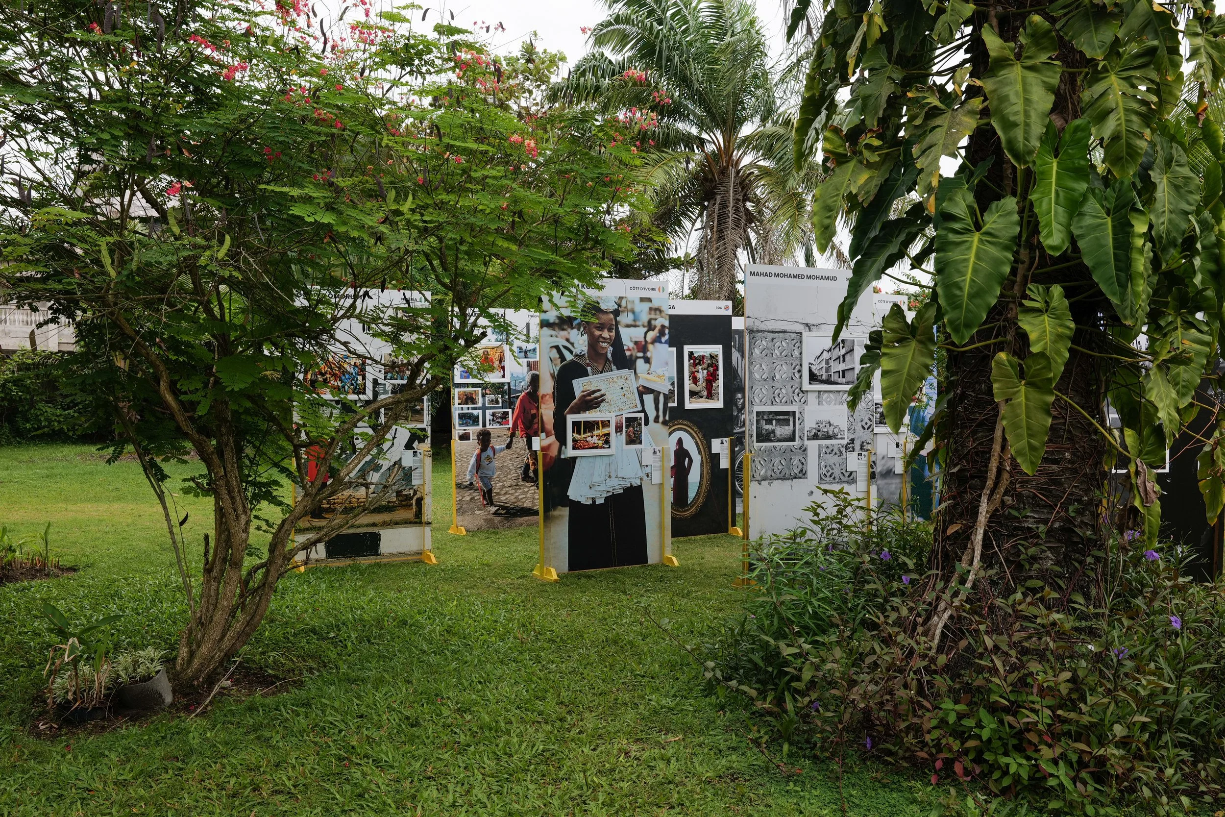 AFF 2025 Installtion (224).jpg