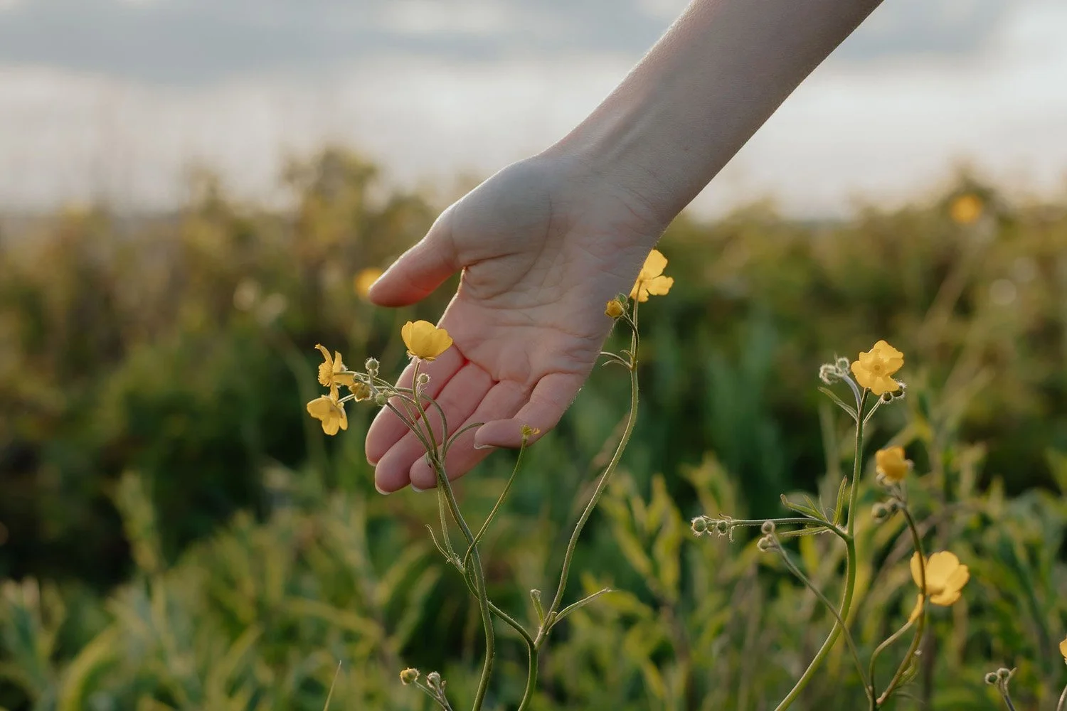 Why Sensitive Entrepreneurs Need More Nervous System Care