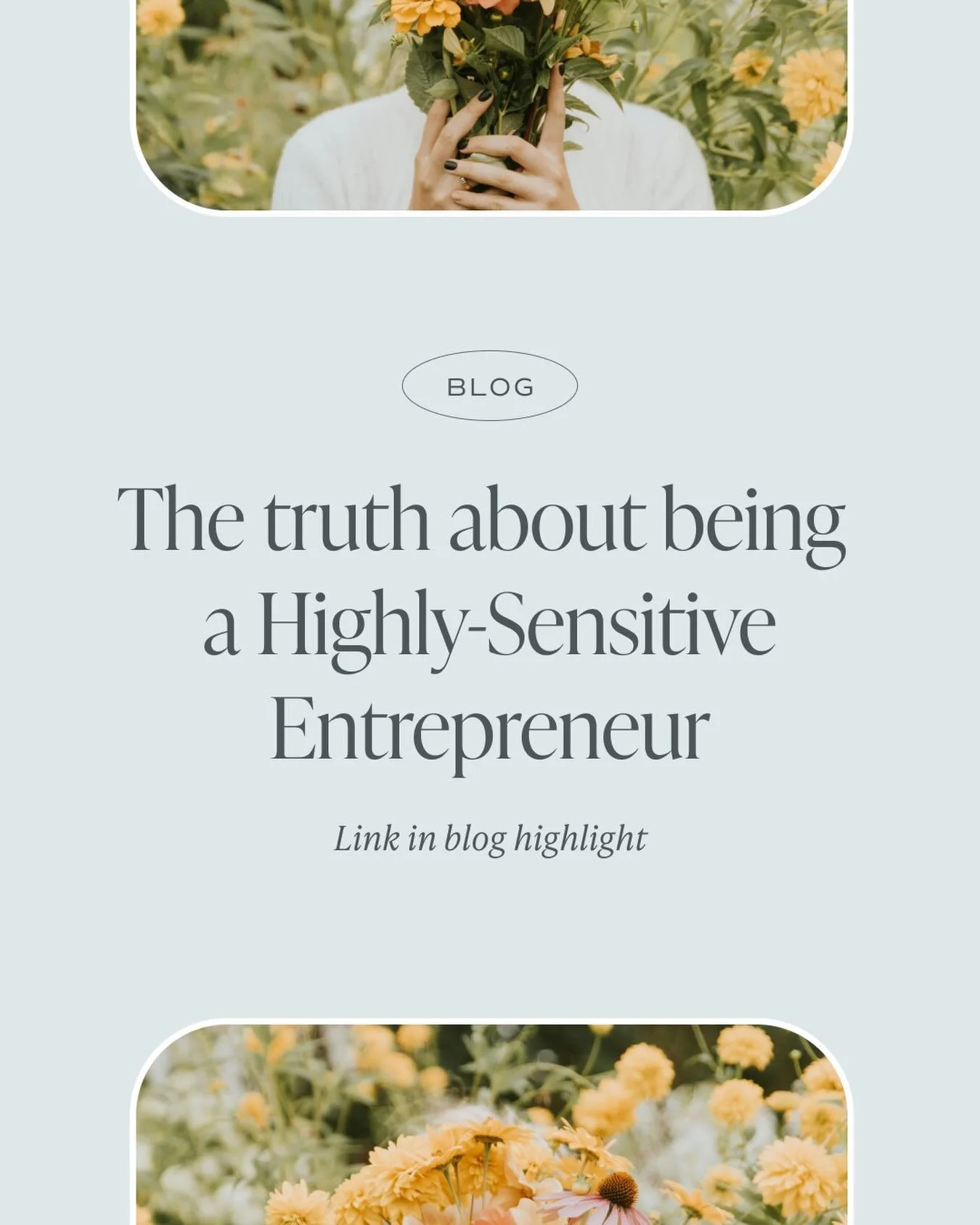 I just launched a 3-part blog series all about what it truly means to be a highly sensitive entrepreneur&hellip; and how to accept (and eventually celebrate) your sensitivity in business. 🌿

This topic feels so close to my heart, because I see sensi