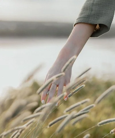 Image of a hand gently touching some wild grass.