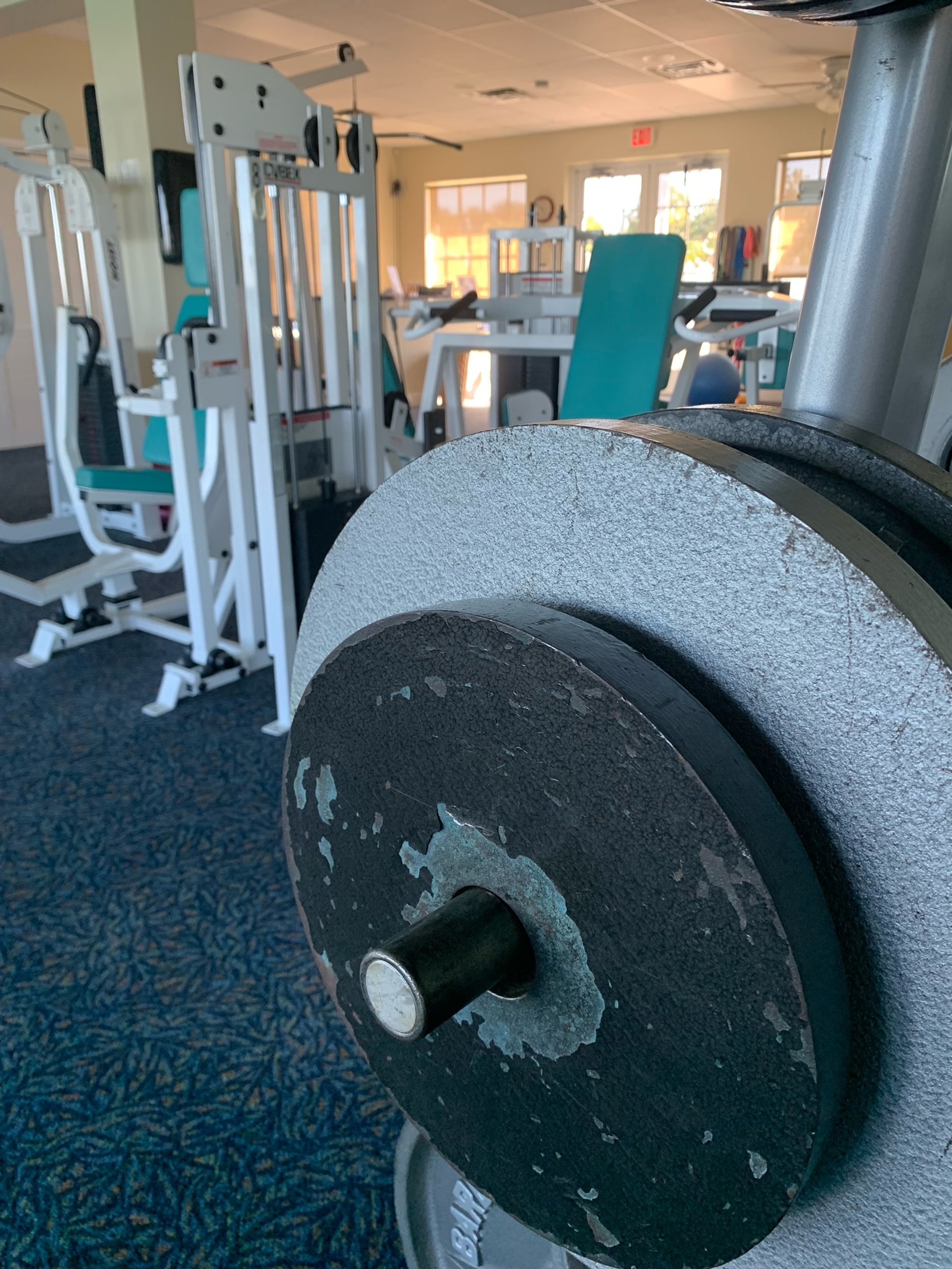 gym2.jpeg