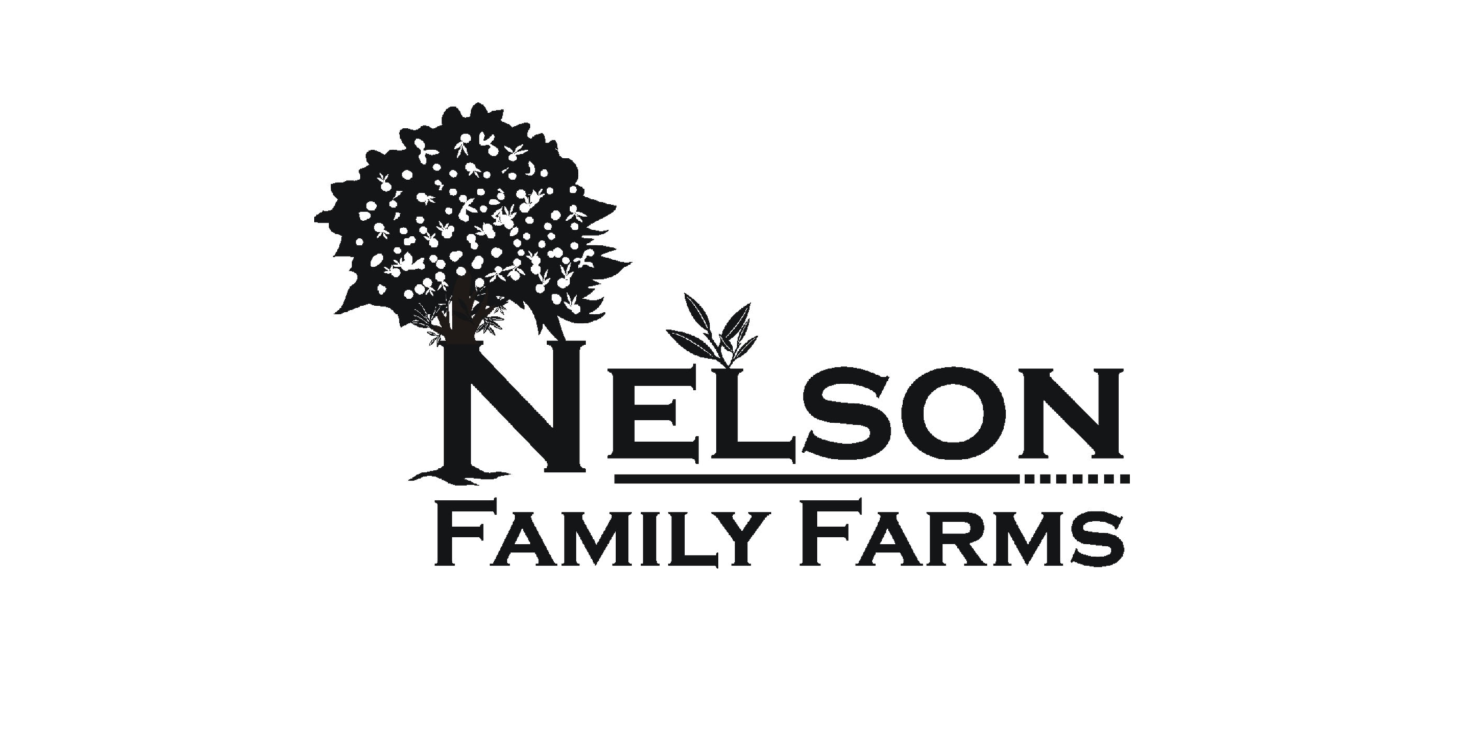 thumbnail_NELSONS Logo 2008.png