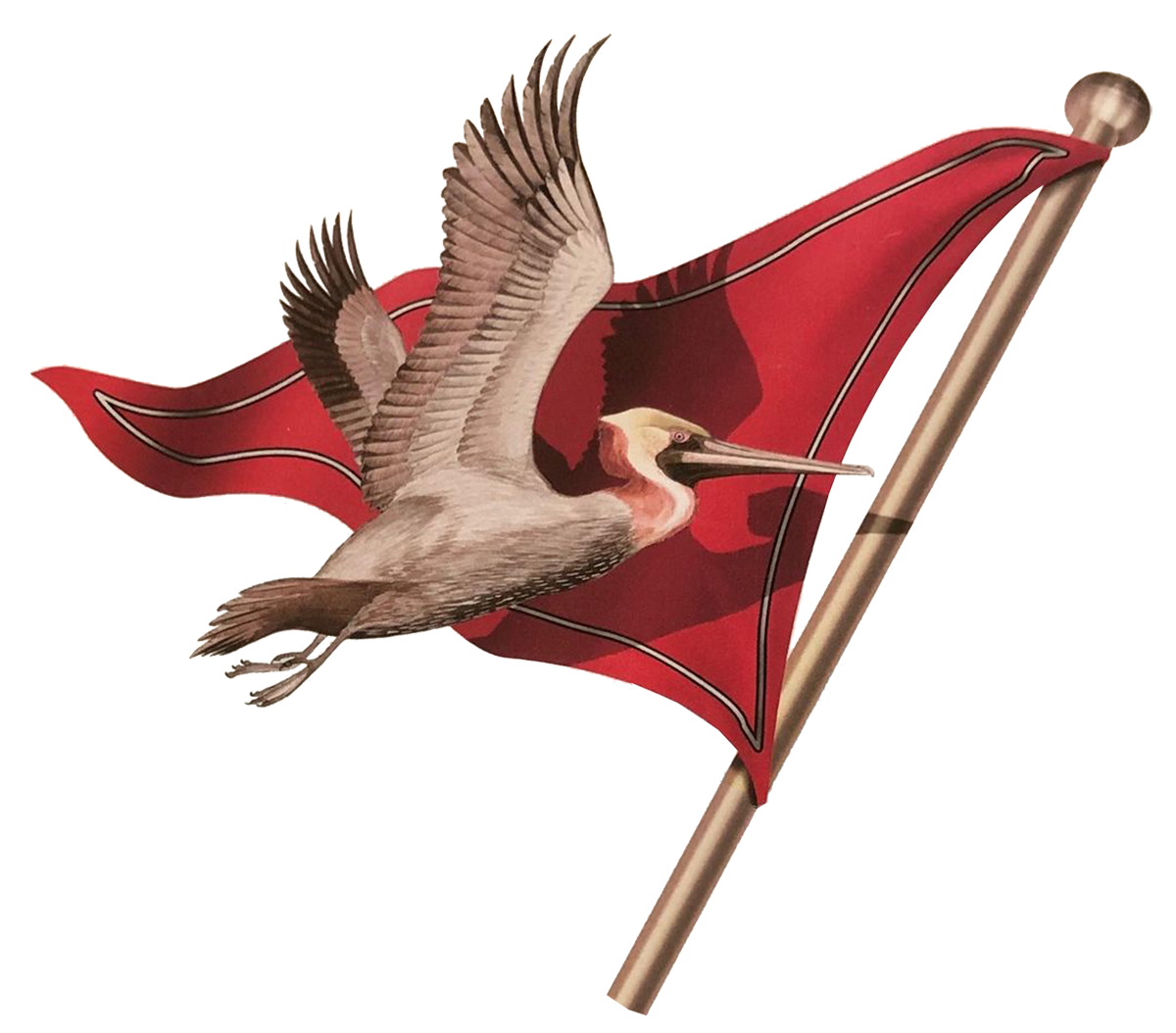 PYC logo Burgee.png