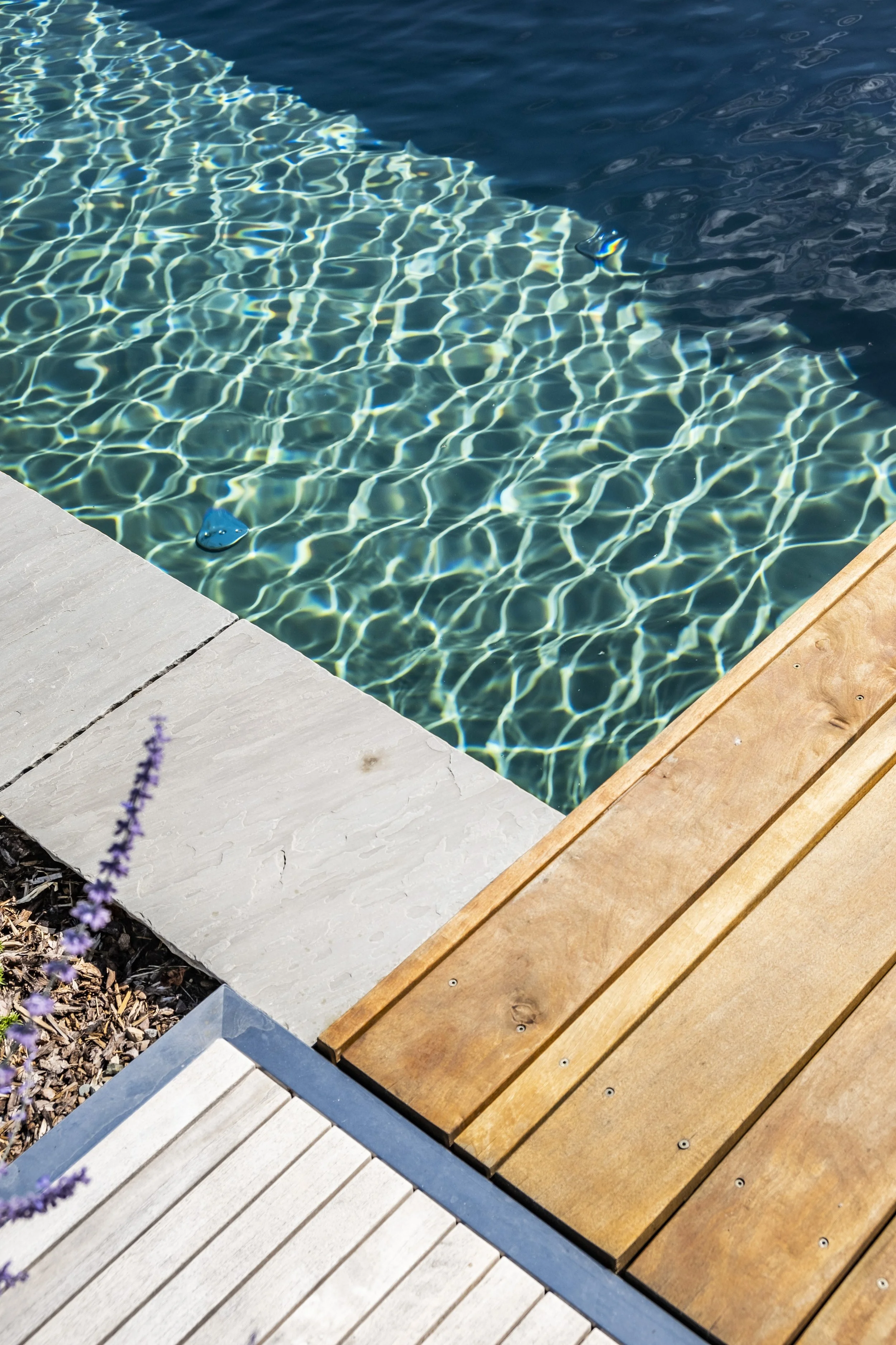 029.jpg