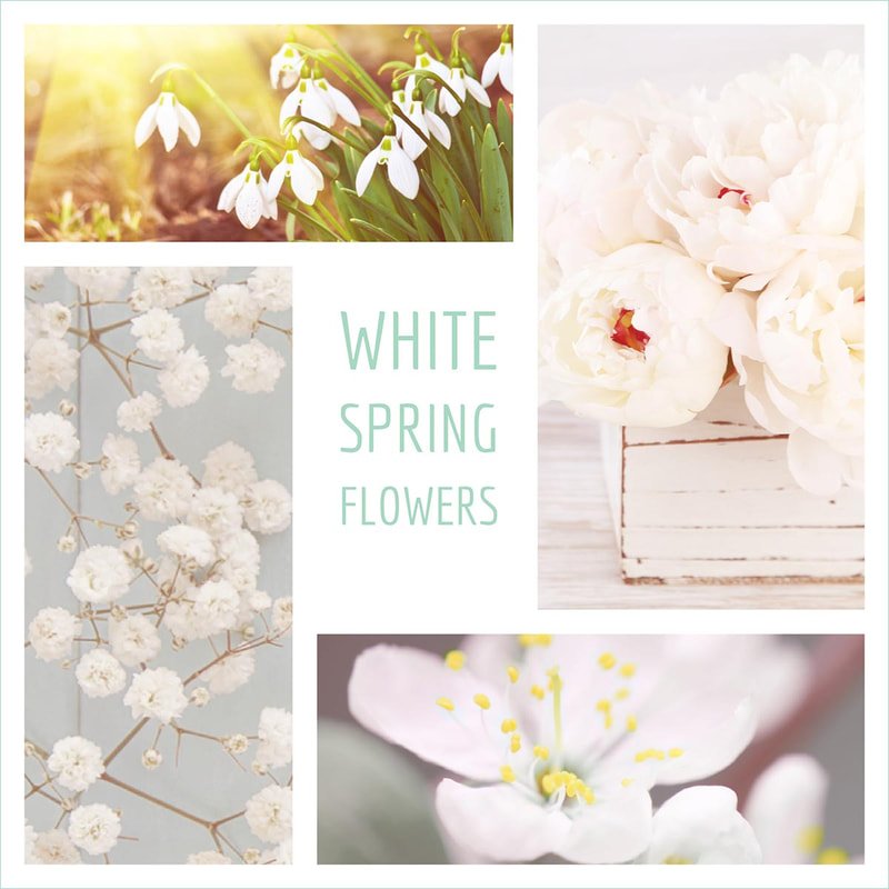 white-spring-flowers_orig.jpg