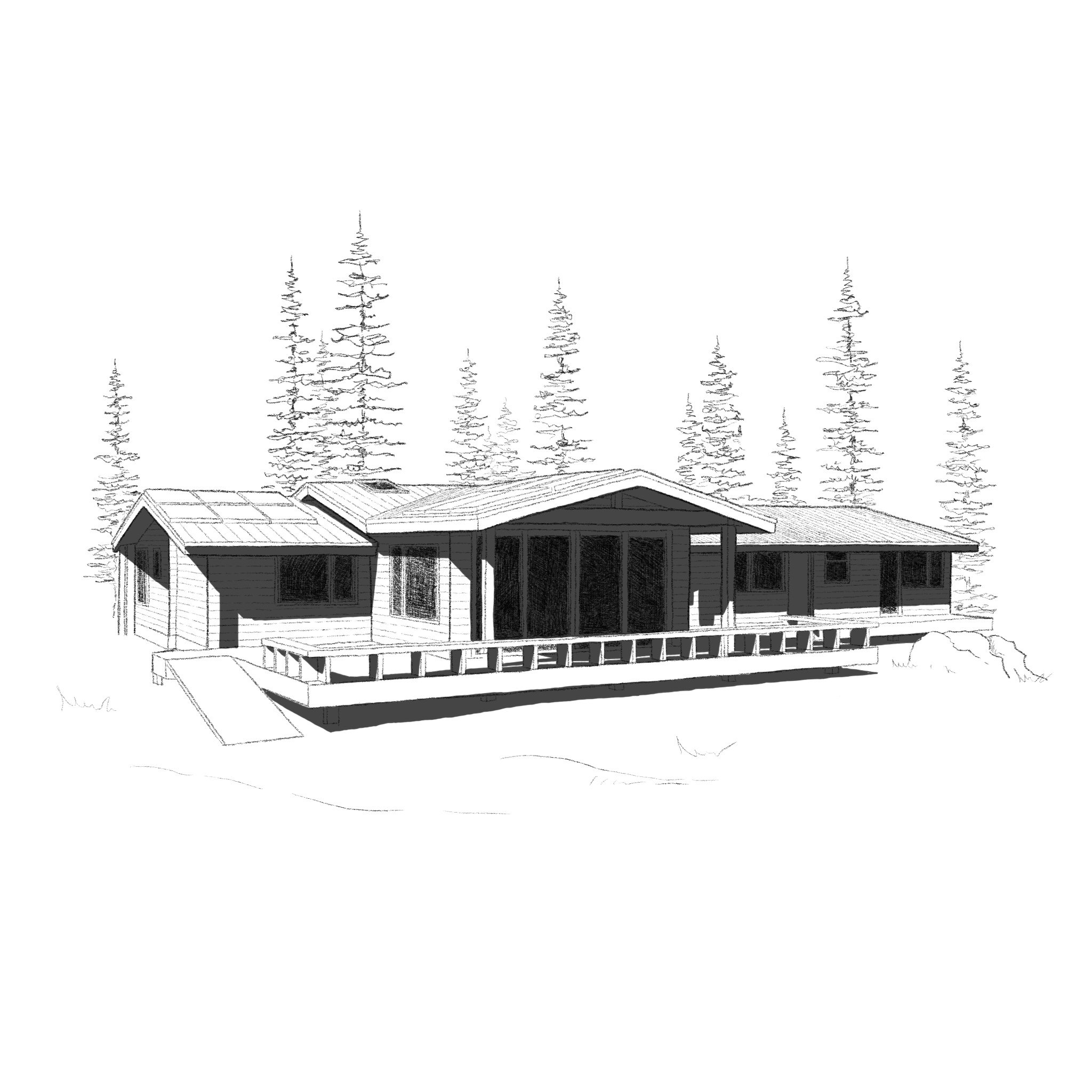 BC Cabin Renovation_BW.jpg