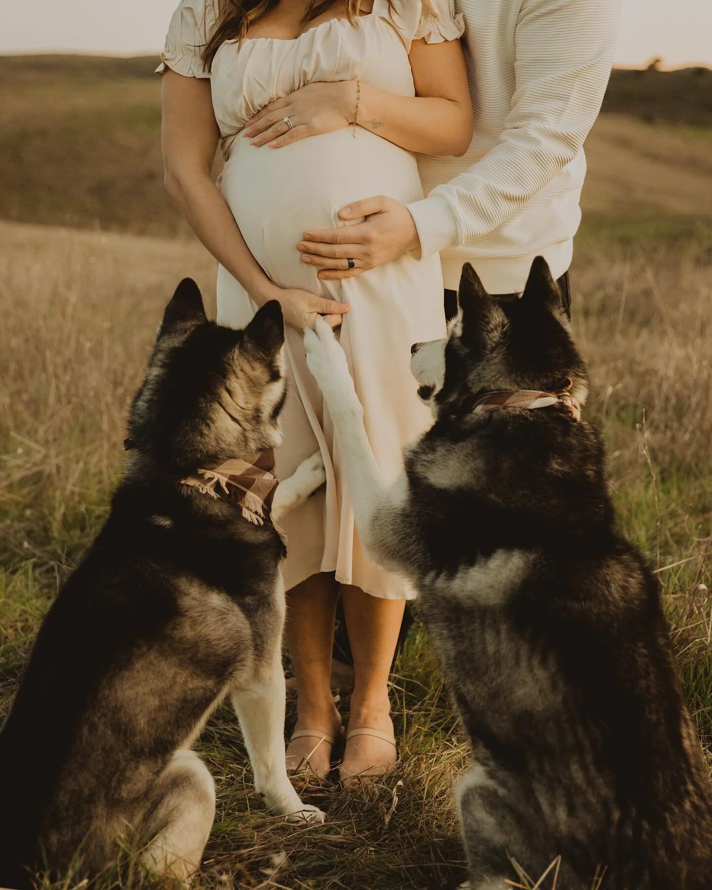 The best way to start off my year! Working w Annabel + Jose who are expecting with the SAME due date as us (2/4/23) and who have 2 furbabes who are ready to welcome their little brother or sister (since we both don&rsquo;t know what we&rsquo;re havin