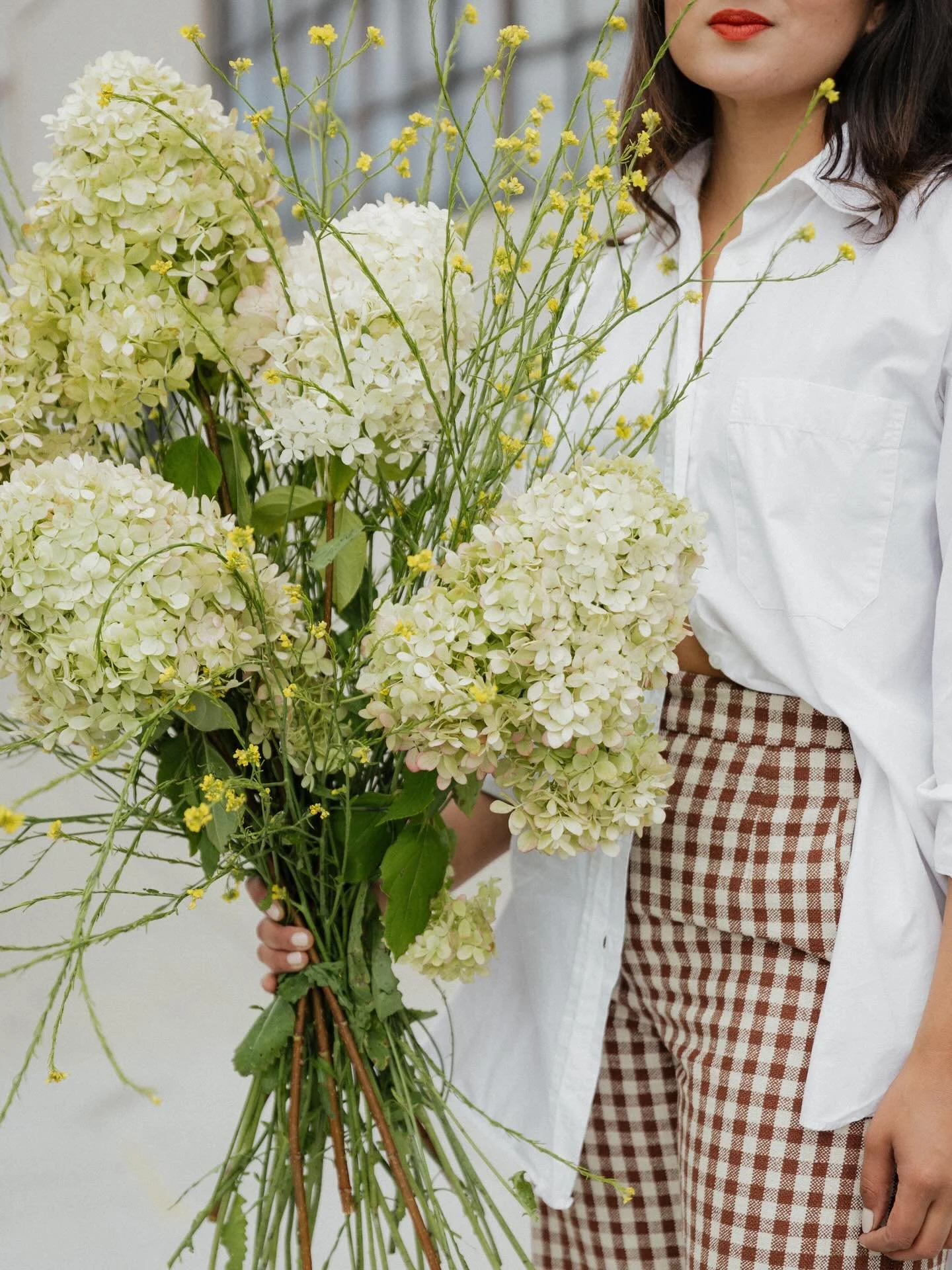 If the mothers in your life have been as constant as the Northern Star then it&rsquo;s time to give them their flowers. And why not throw in a Mother&rsquo;s Day Mini Session while you&rsquo;re at it. Lol. Mother&rsquo;s Day Minis are being announced