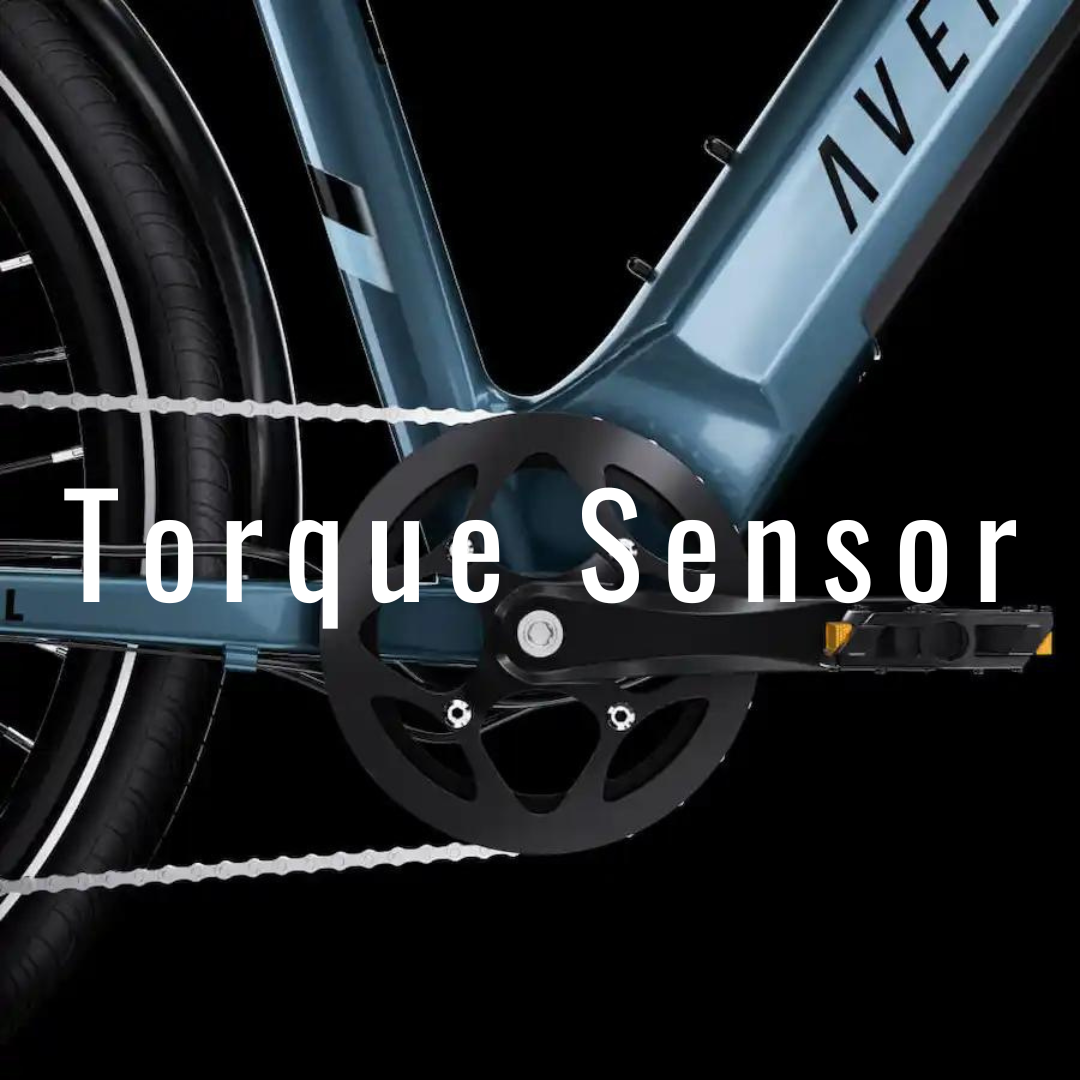 EBikes for Sale — Montana EBikes