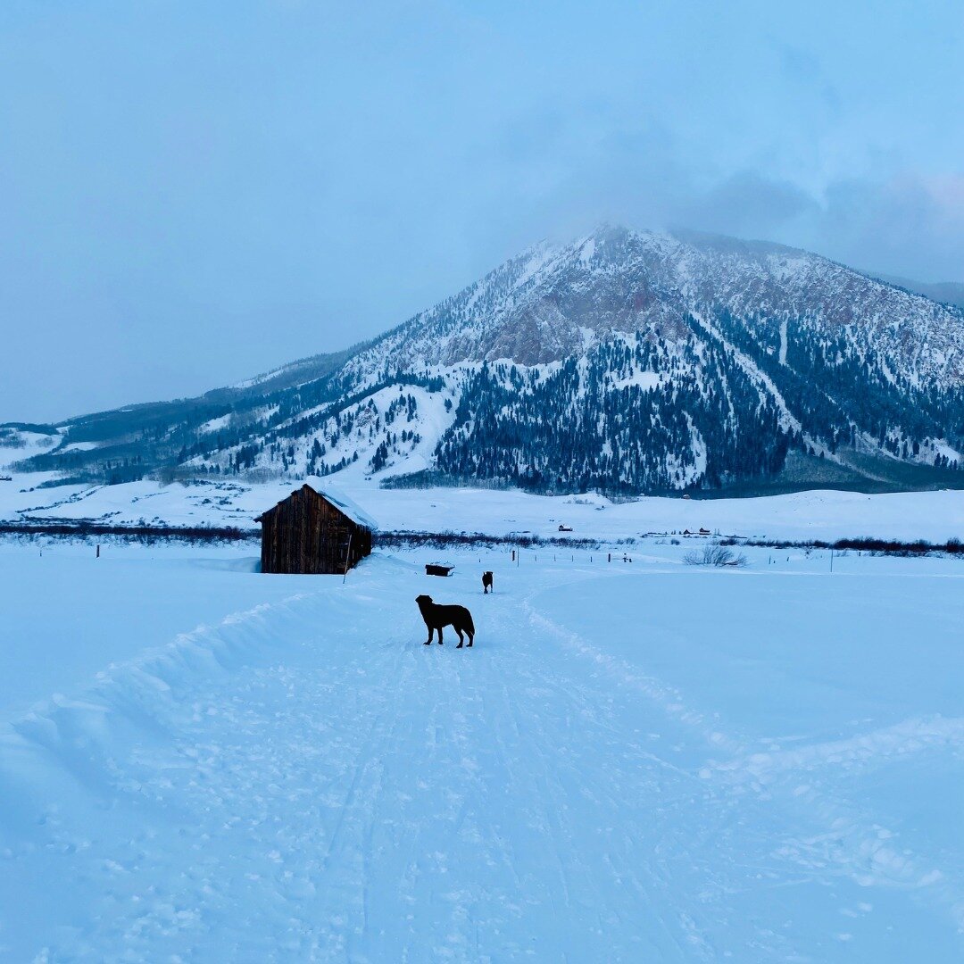 While we eagerly await the arrival of spring, there is still plenty of time to enjoy all the winter activities! This Sunday is the 50th Annual Al Johnson Race at CBMR. This is a cherished event, known for its fun and challenging course and the lively