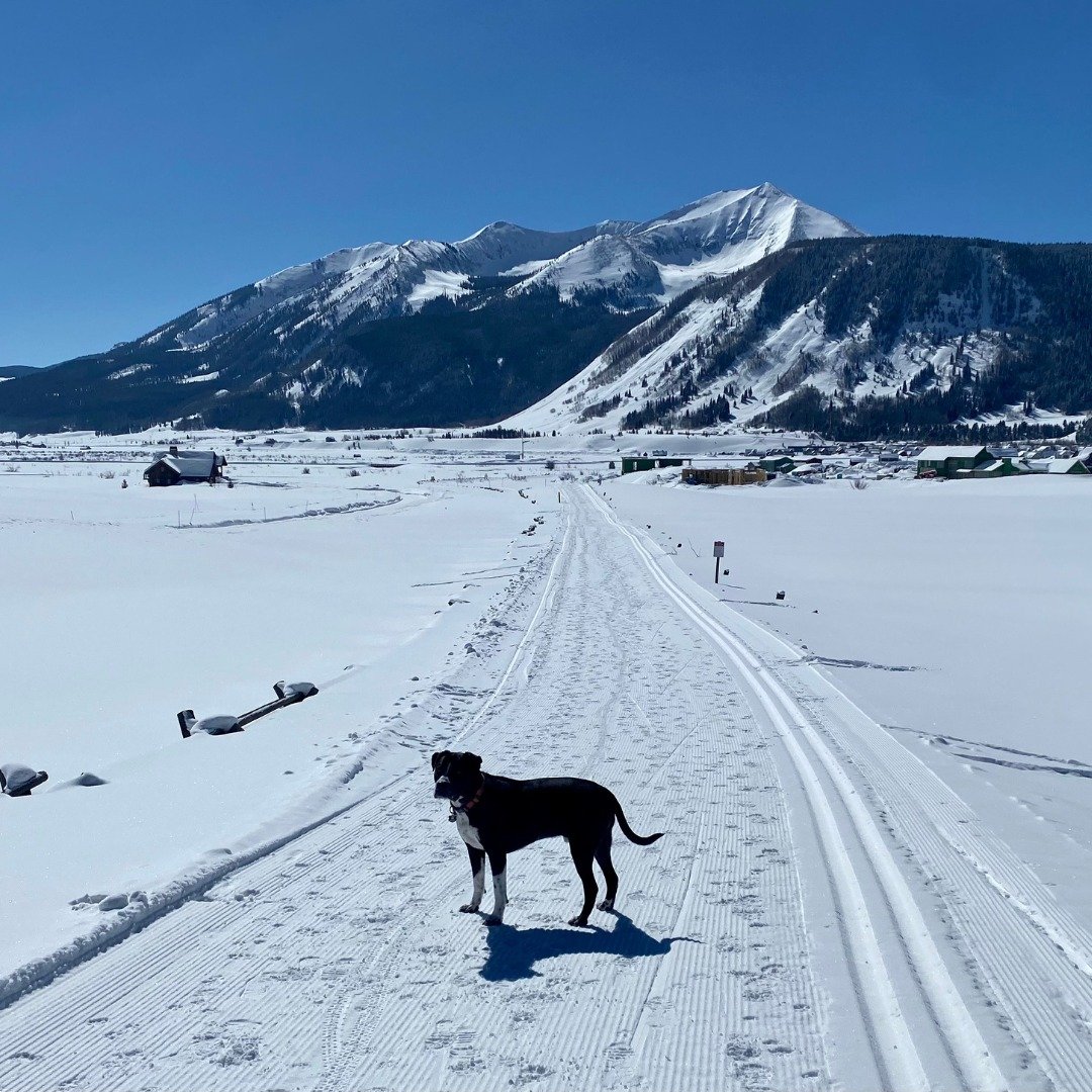 With ski season in the rear view mirror, it&rsquo;s time to enjoy the quiet of off-season.  However, in normal Crested Butte style, there is never a dull moment.  Tomorrow is the 3rd Annual Beer Ski Race hosted by CB Nordic. It's the perfect way to r
