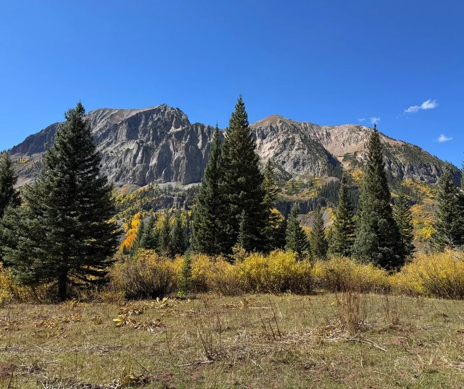 🍂 Fall is in full swing in Crested Butte with chilly mornings that turn into magical days with sunshine and cloudless skies.  This might be peak weekend for the leaves so be sure to enjoy a hike or drive through the mountains. 
.
.
This is also @cre