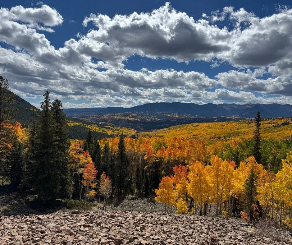 What do you do when your mom has never been to Crested Butte in the fall?  You drive over Ohio Pass!! The fall colors are magical and the leaves are hanging on so go enjoy the beautiful colors of the Gunnison Valley. It truly doesn't get much better 